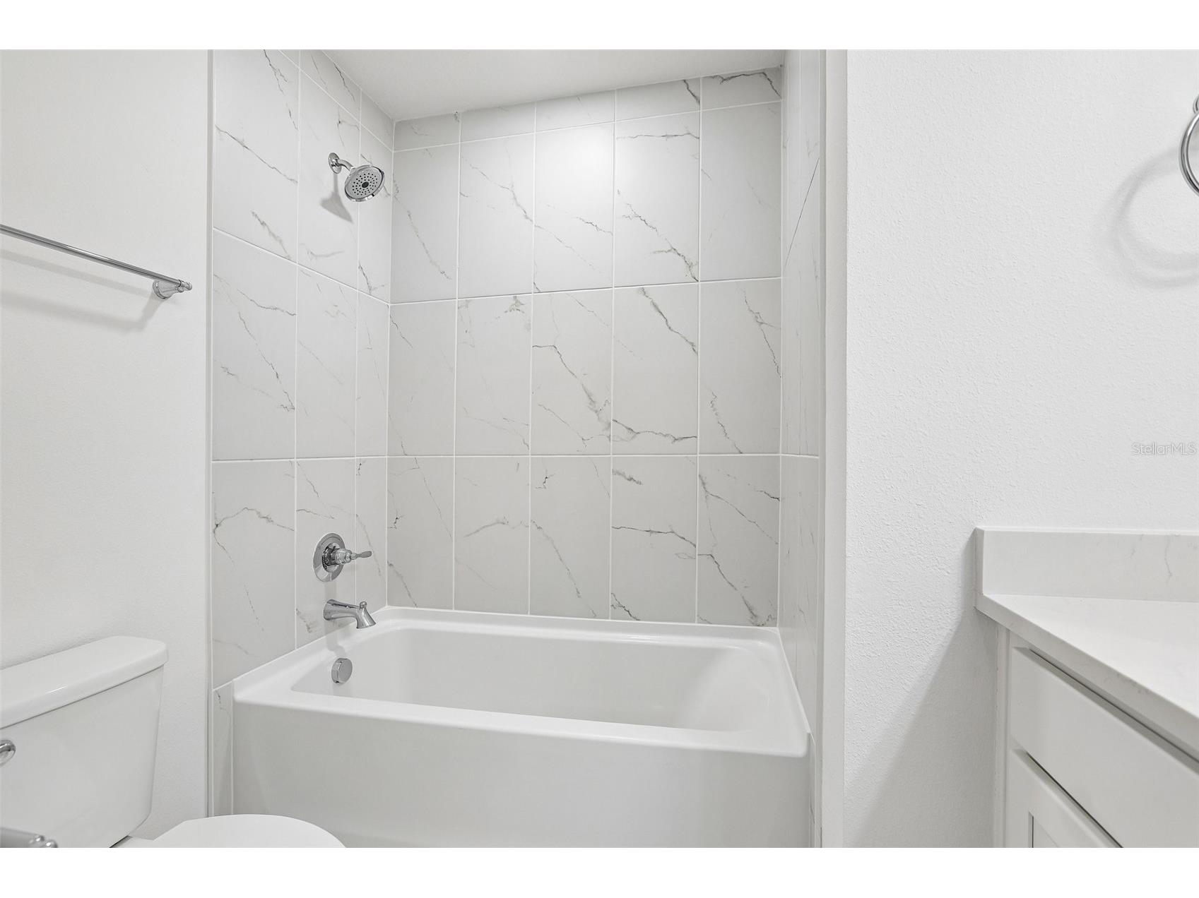 6876 Holcombe Down Drive Zephyrhills FL 33541 TB8519204 image26