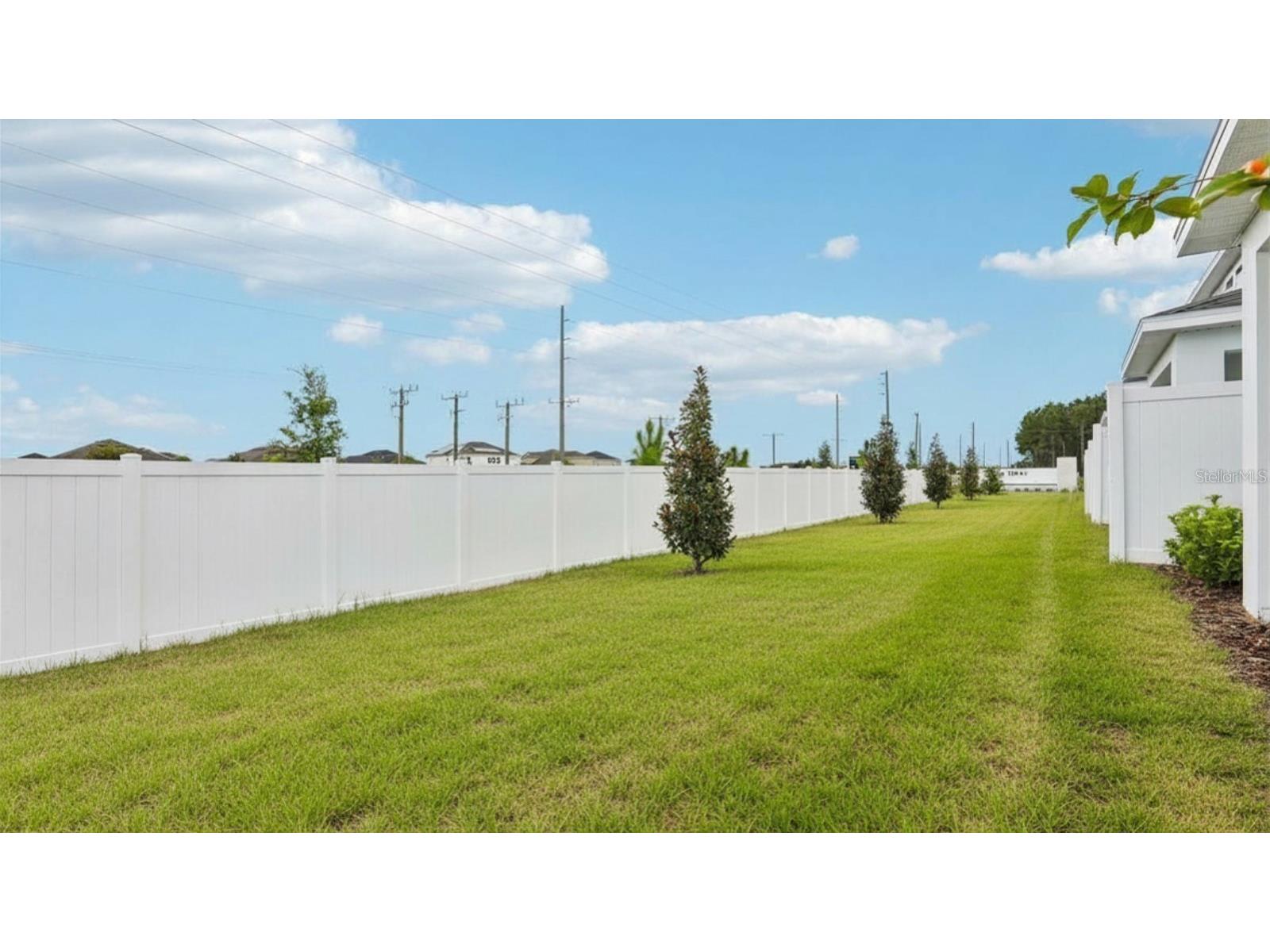 6876 Holcombe Down Drive Zephyrhills FL 33541 TB8519204 image27