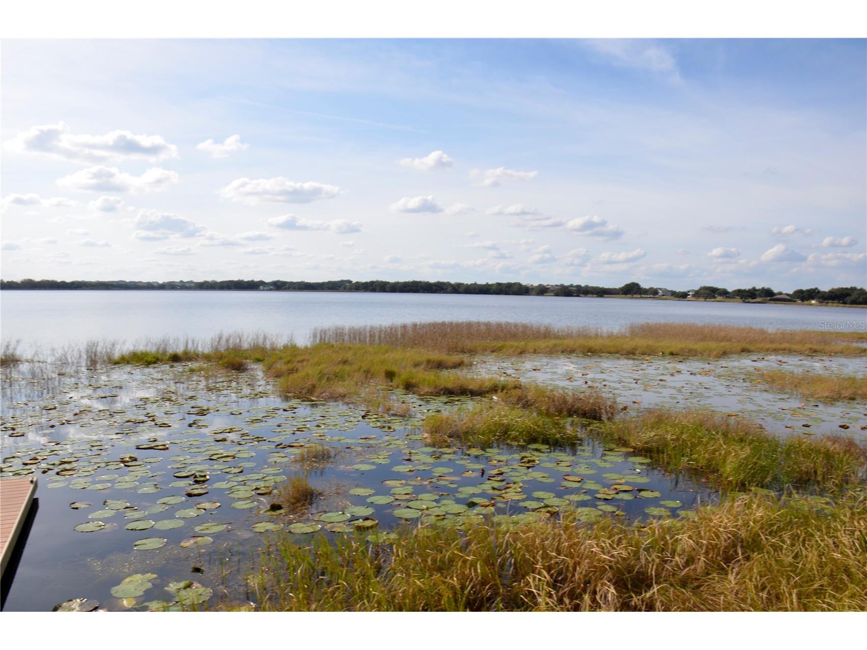 6877 Wilson Hammock Avenue Groveland FL 34736 O6371217 image36