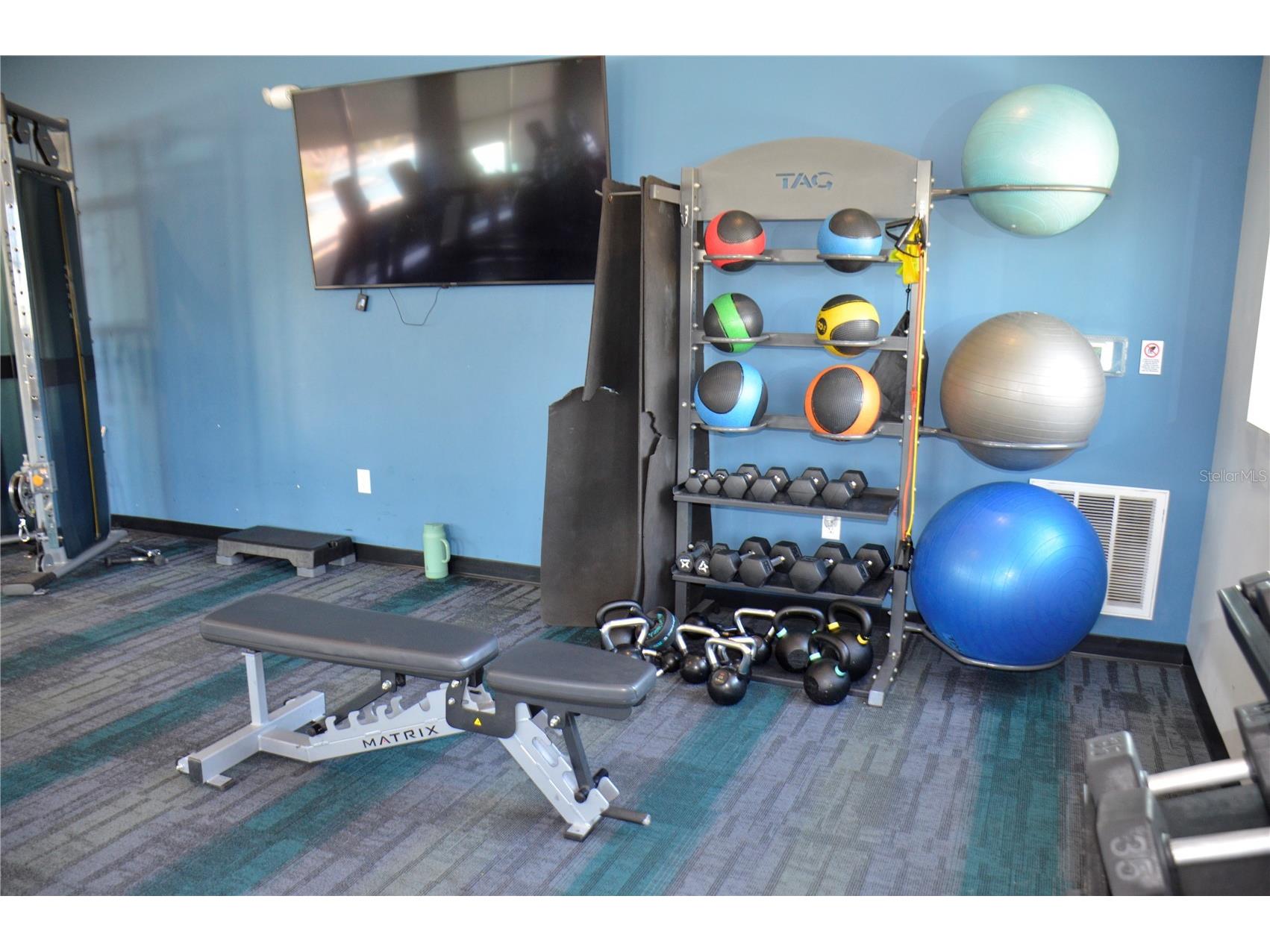 6877 Wilson Hammock Avenue Groveland FL 34736 O6371217 image37