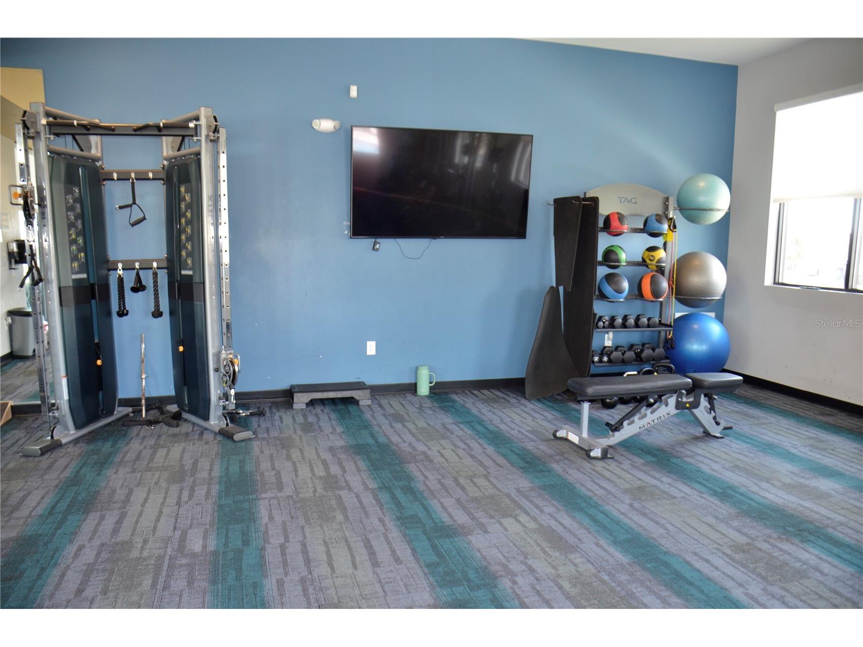 6877 Wilson Hammock Avenue Groveland FL 34736 O6371217 image38