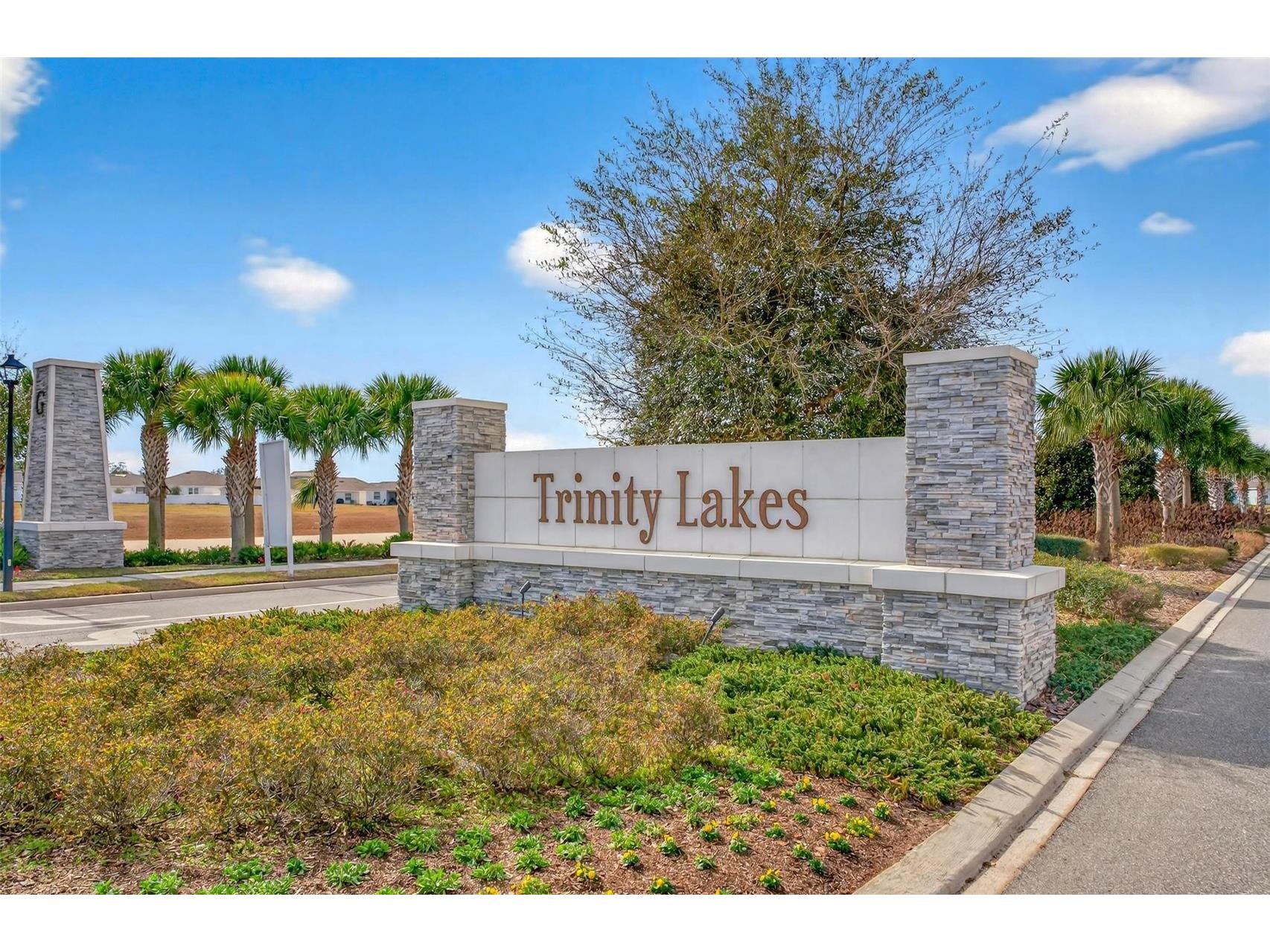 6877 Wilson Hammock Avenue Groveland FL 34736 O6371217 image50