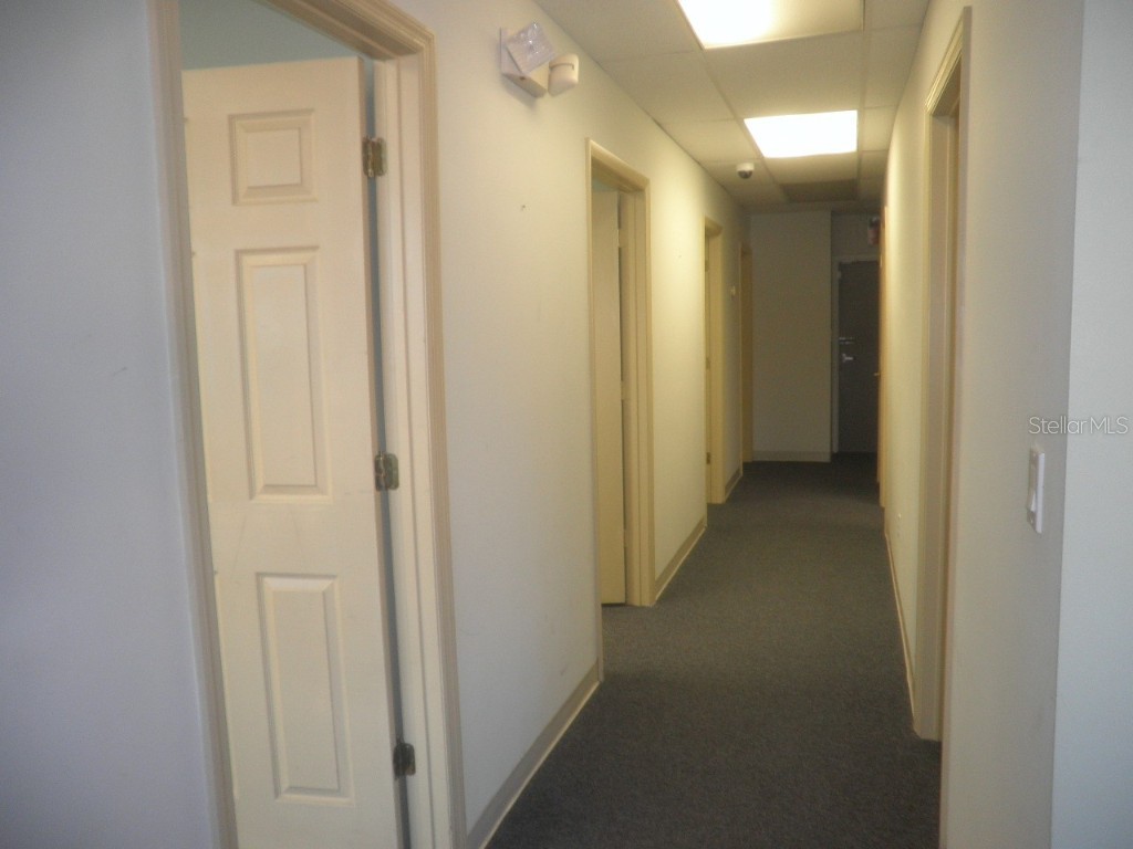 6880 46th Avenue N Saint Petersburg FL 33709 T3458291 image13