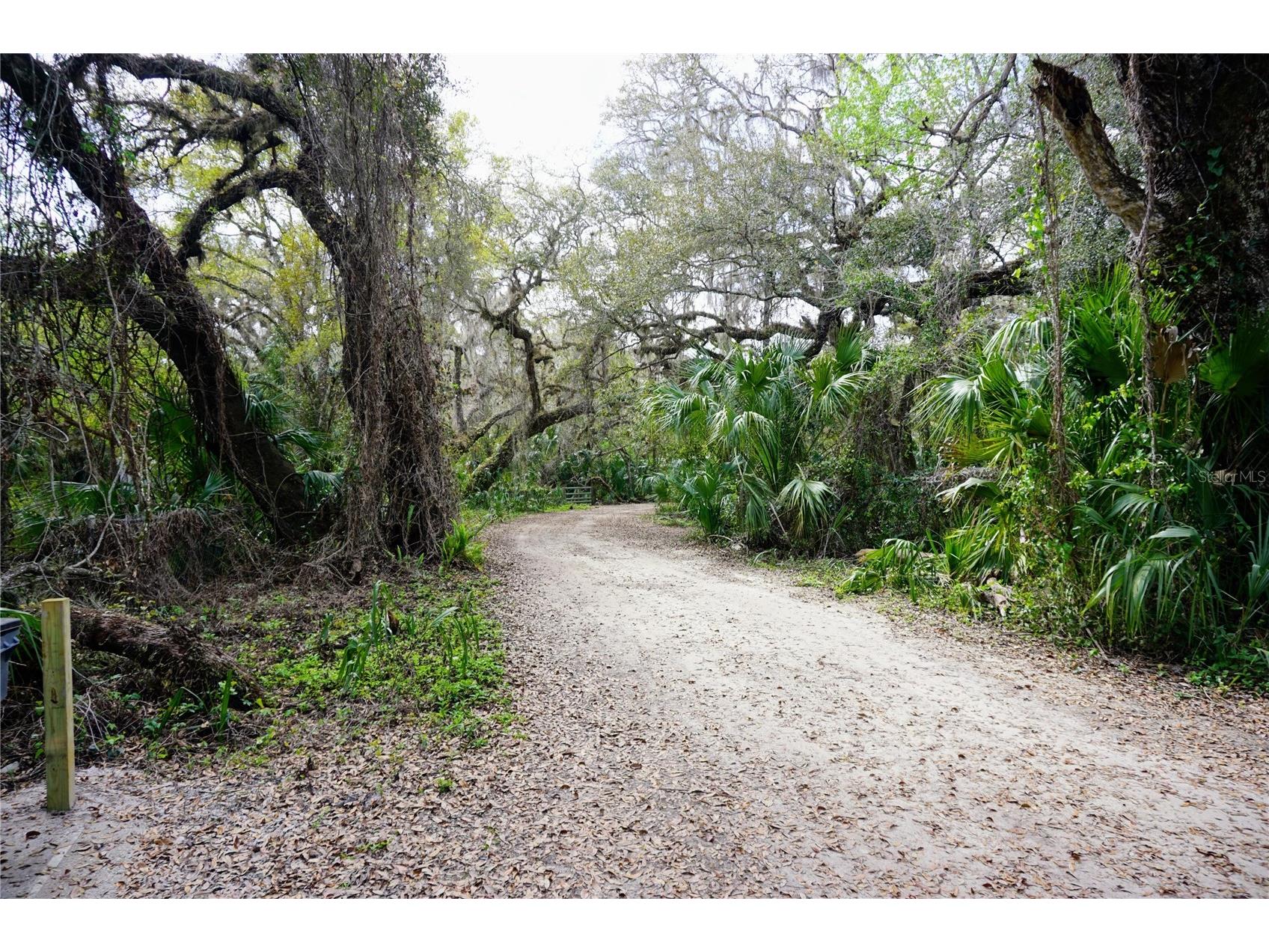 6880 E Channel Drive Hernando FL 34442 O6385421 image44