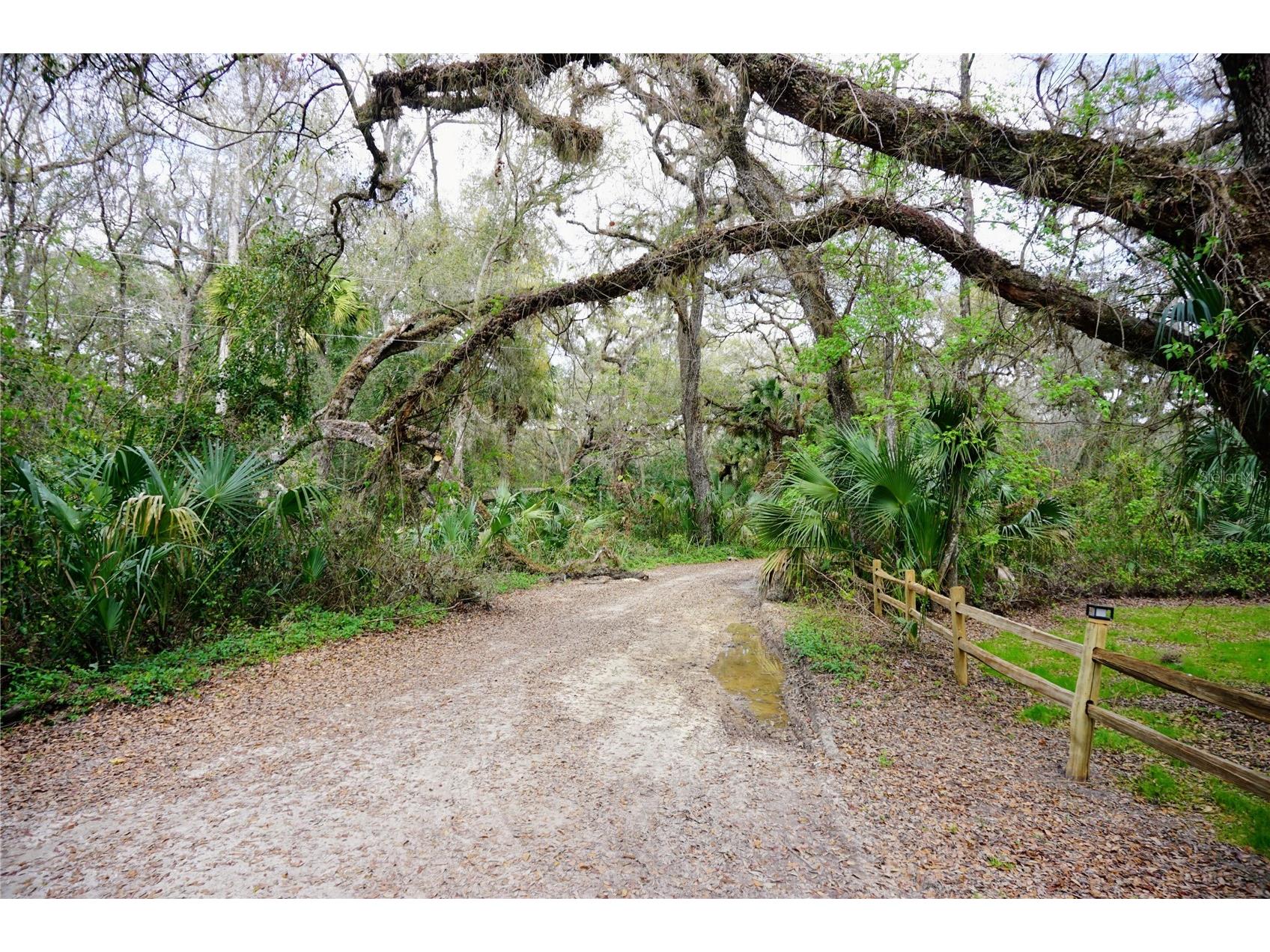 6880 E Channel Drive Hernando FL 34442 O6385421 image45