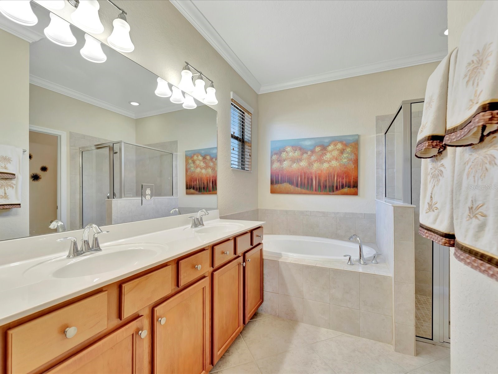 6880 Willowshire Way Bradenton FL 34212 A4677810 image14