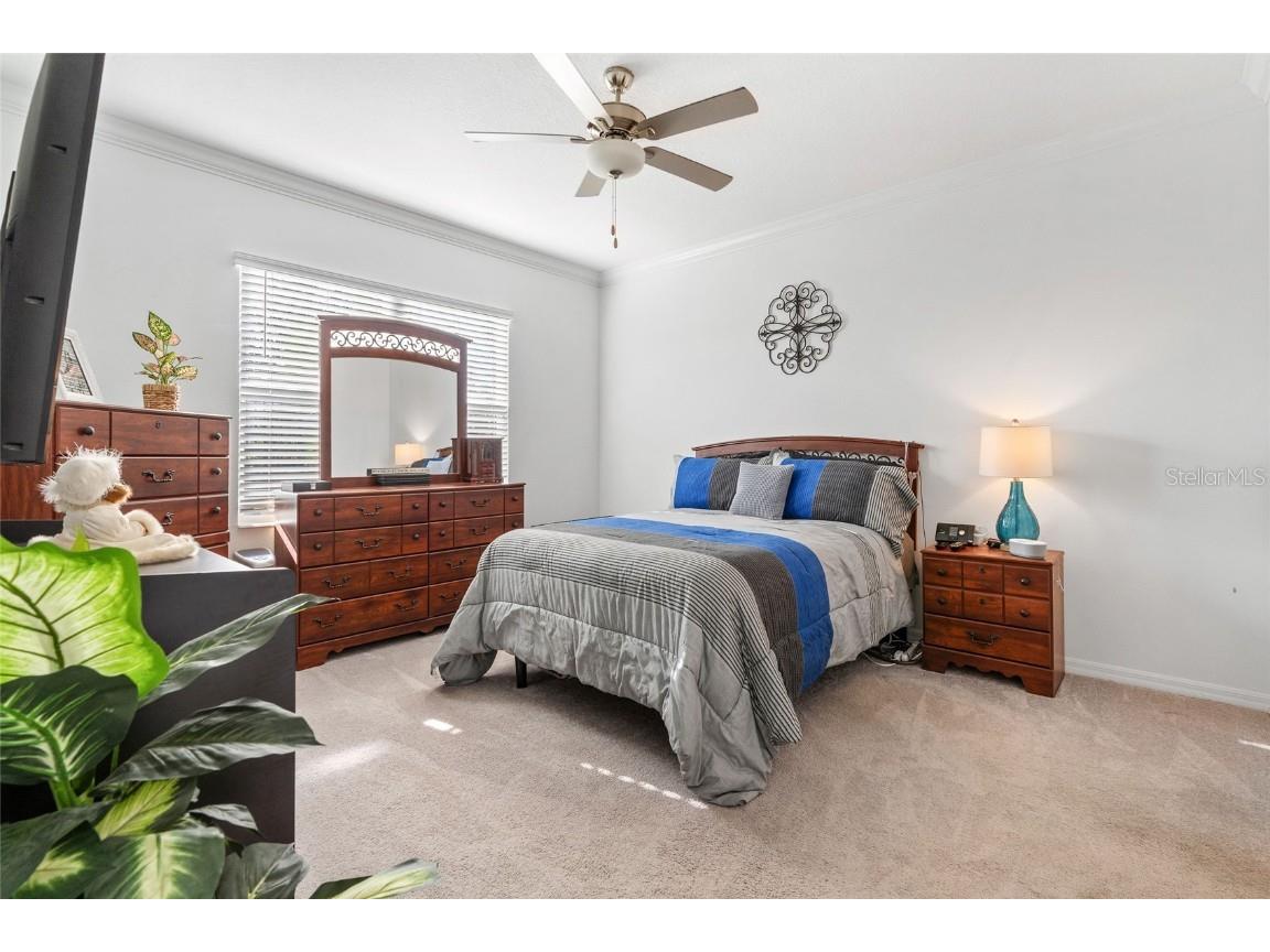 6884 Ripple Pond Loop Zephyrhills FL 33541 TB8412733 image16