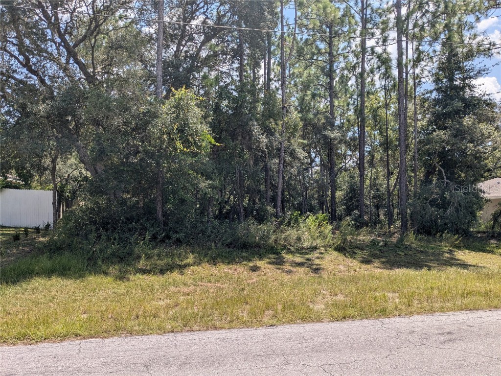6886 SW 146th Lane Road Ocala FL 34473 G5085877 image1