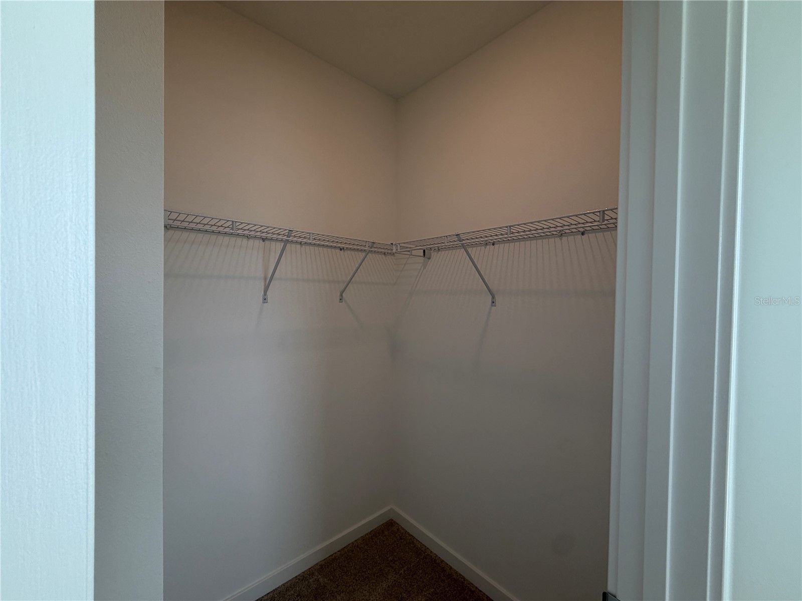 6888 Gilly Shadow Street Wesley Chapel FL 33545 O6411136 image18