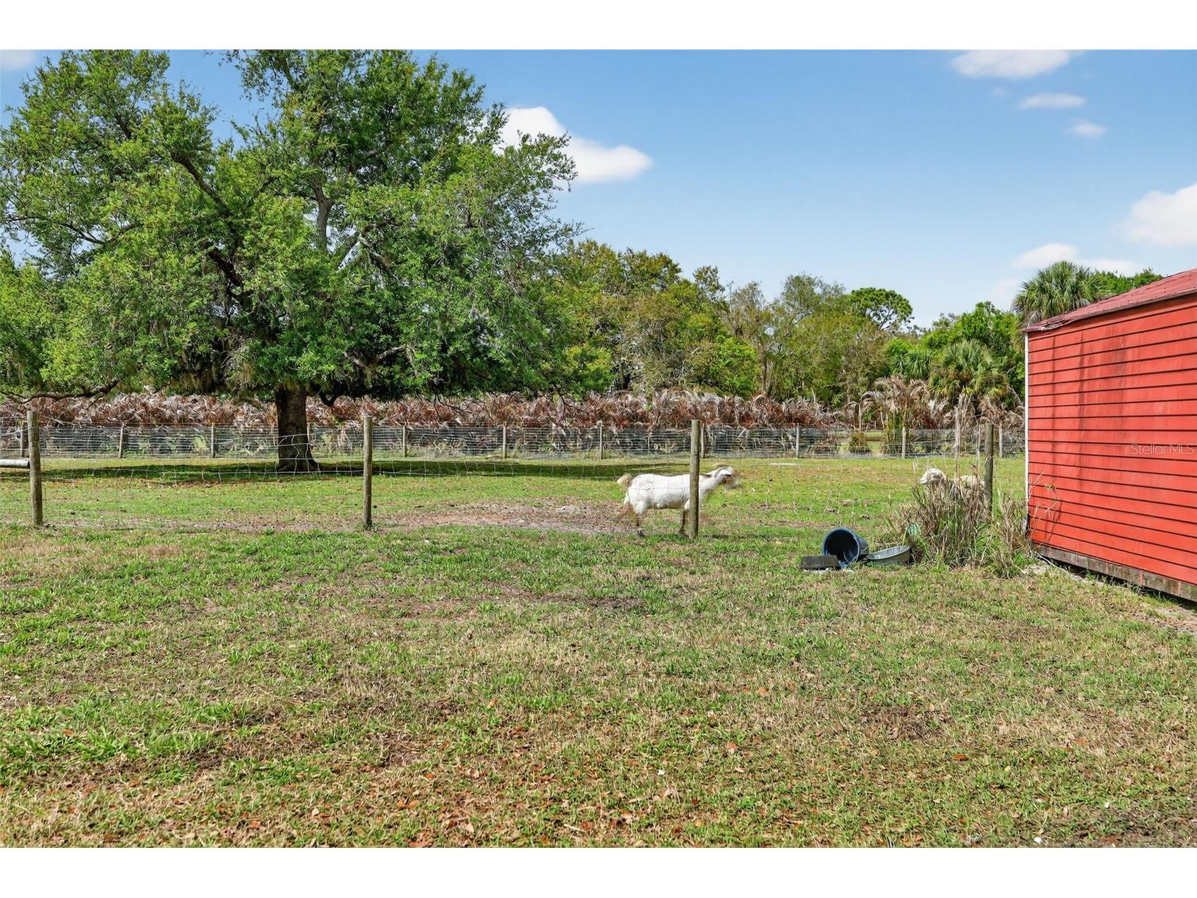 6888 Myakka Valley Trl Sarasota FL 34241 A4685475 image65