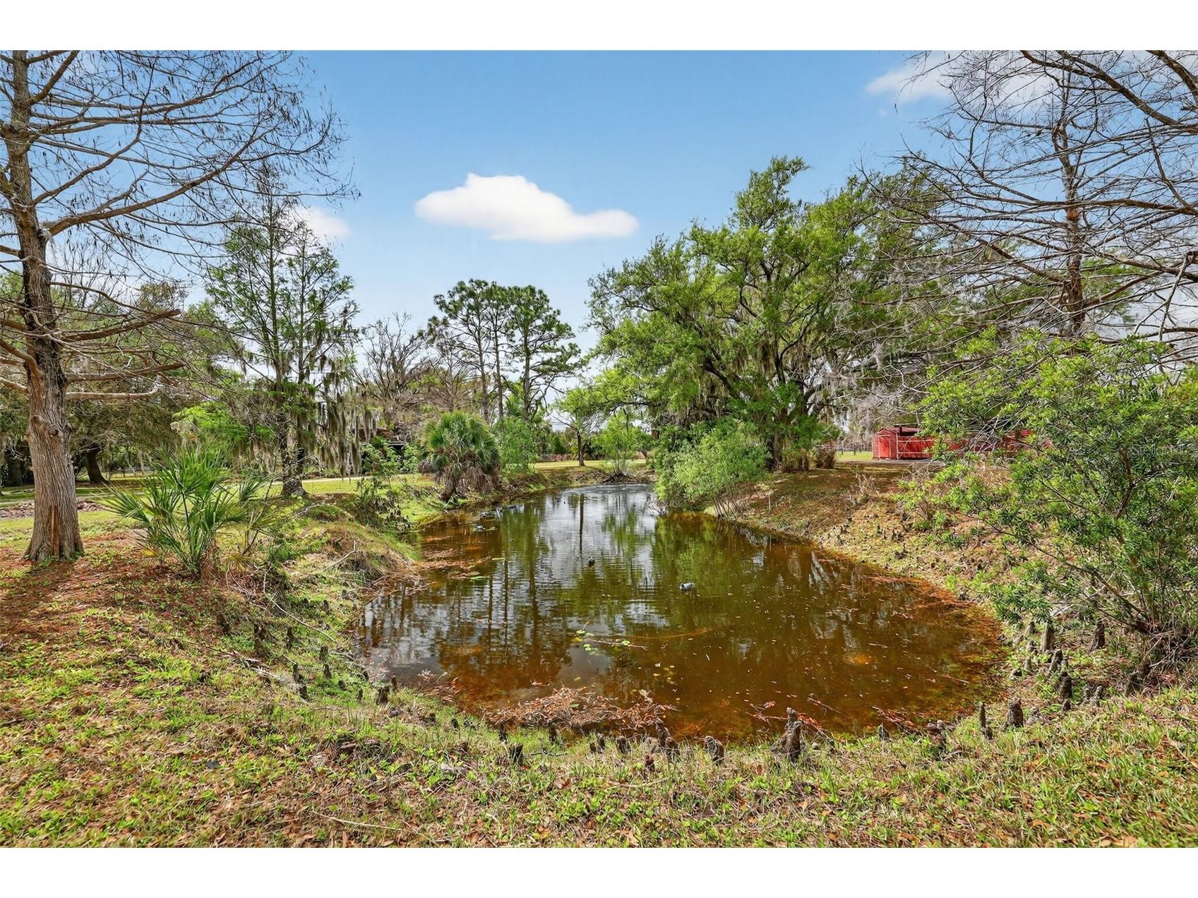 6888 Myakka Valley Trl Sarasota FL 34241 A4685475 image71