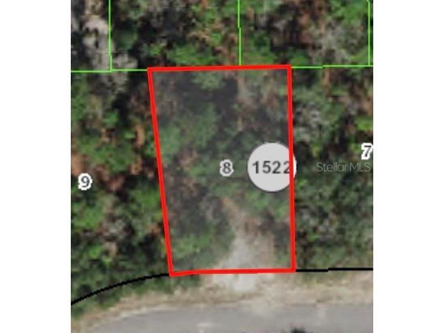 6888 N Lime Drive Citrus Springs FL 34433 A4578441 image1