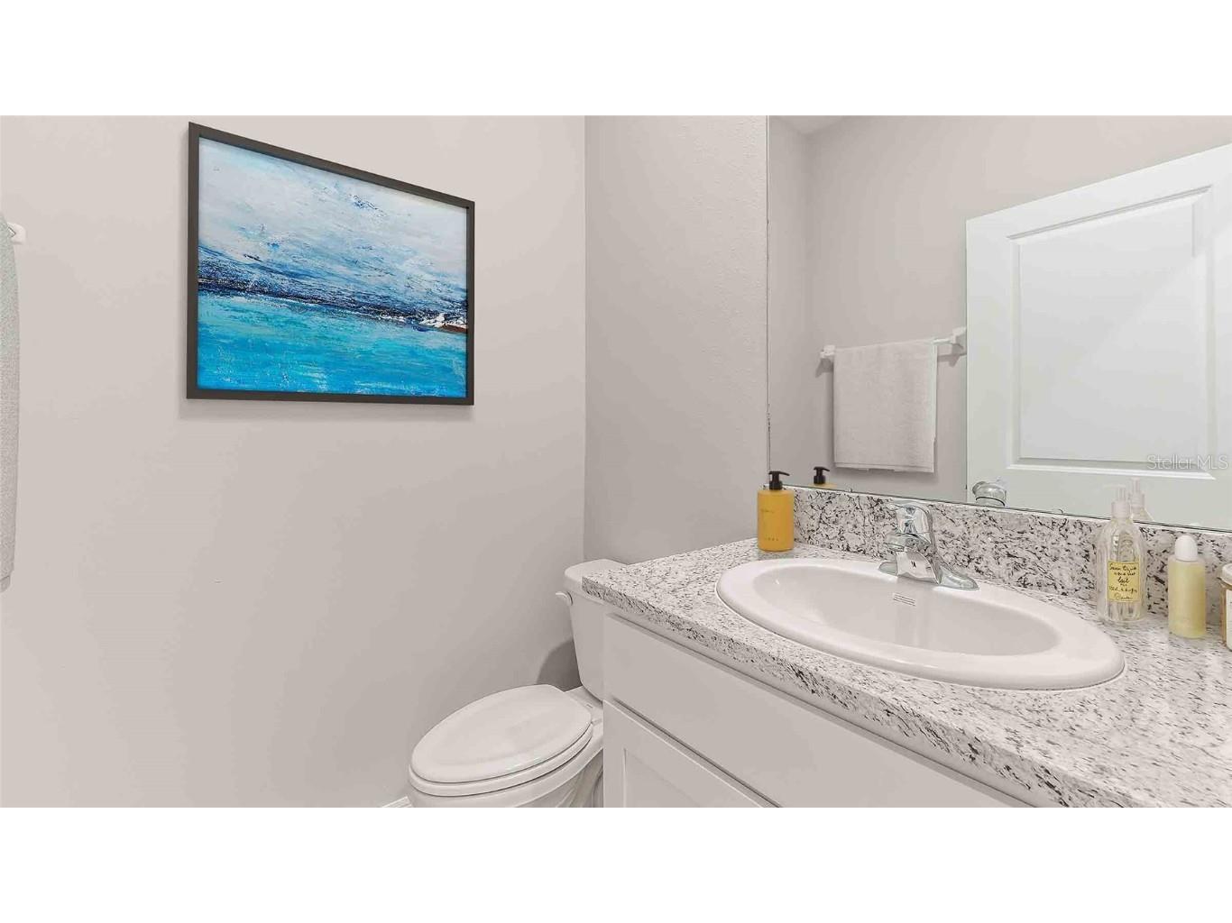 6889 Daintree Court Land O Lakes FL 34638 TB8452909 image7