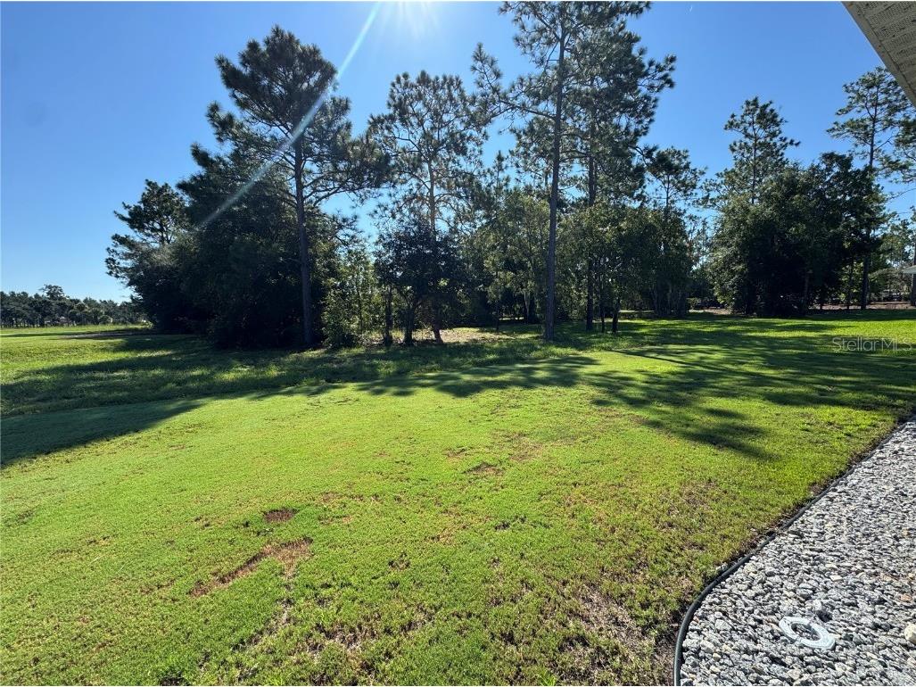 6889 SW 179th Court Road Dunnellon FL 34432 O6326028 image29