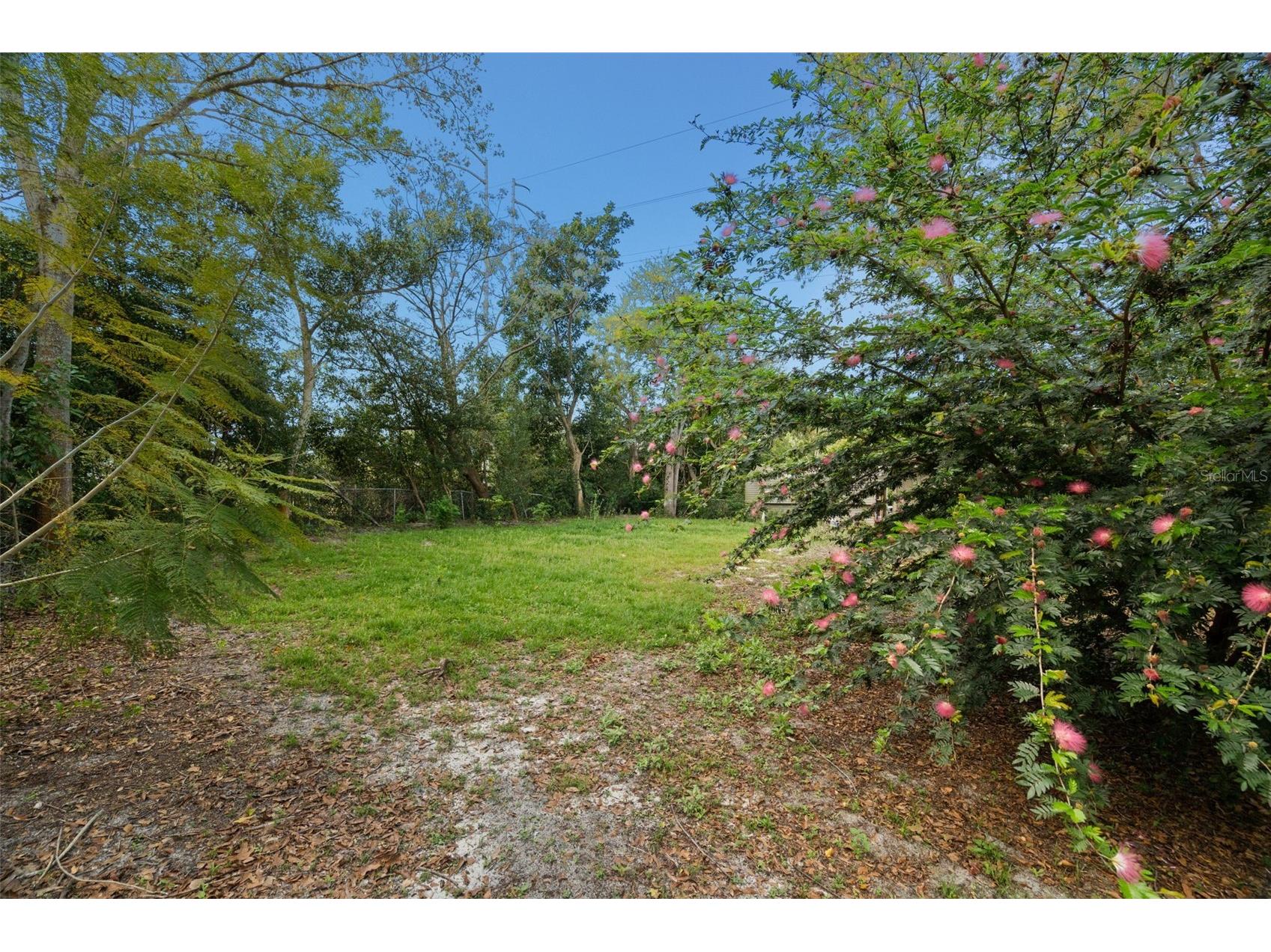 6890 County Road 95 Palm Harbor FL 34684 TB8488562 image47