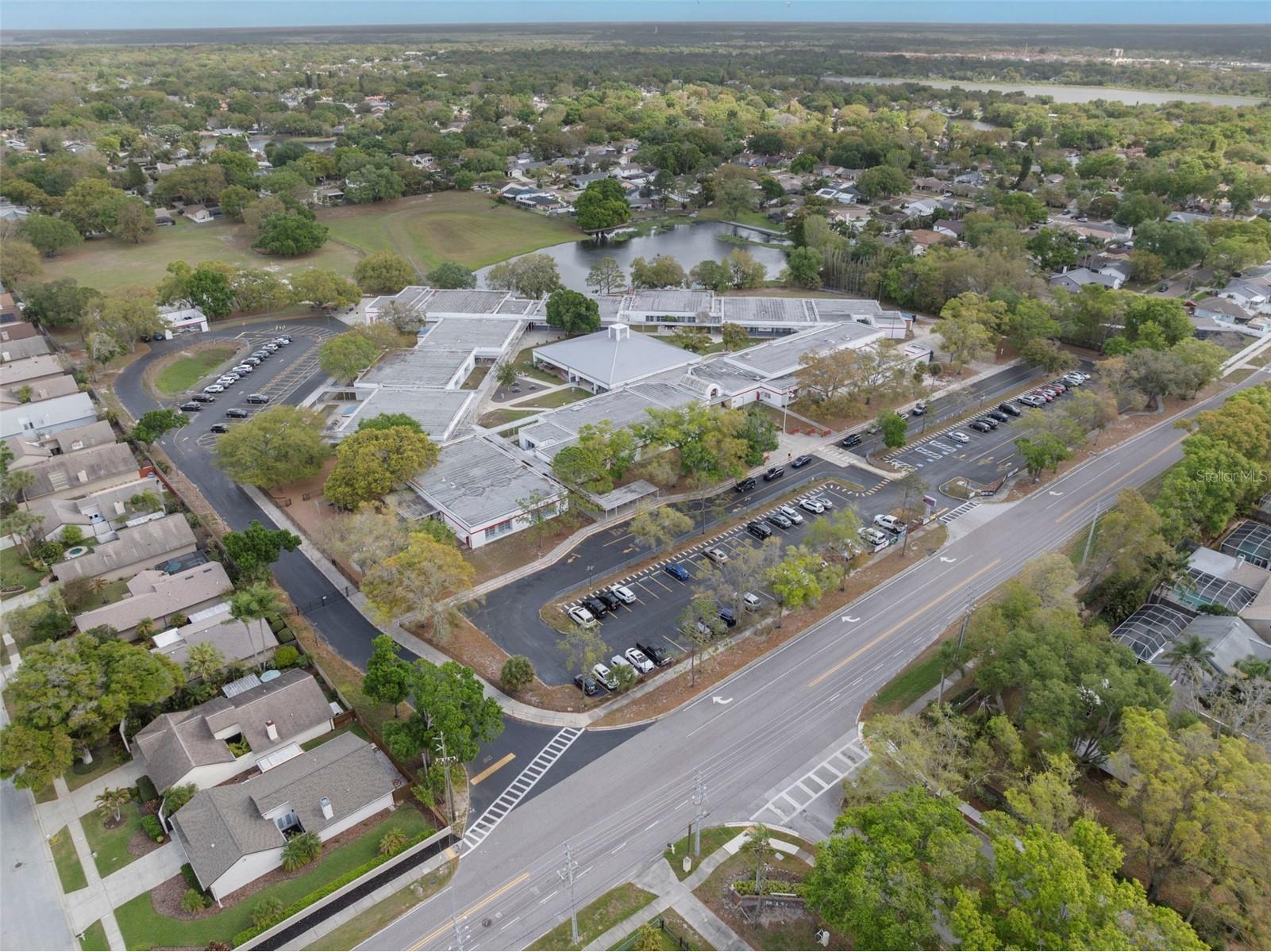 6890 County Road 95 Palm Harbor FL 34684 TB8488562 image51