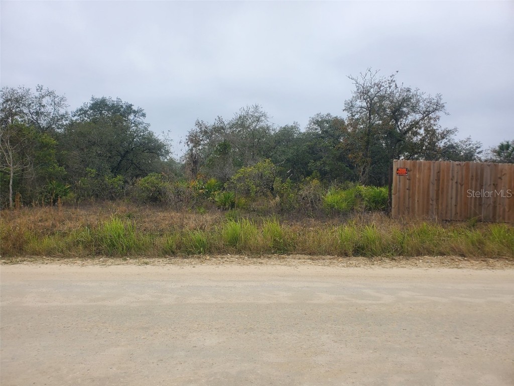 6890 NE 119th Terrace Williston FL 32696 OM649311 image1