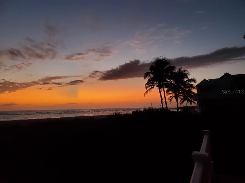6890 Palm Island Drive Placida FL 33946 - GULF OF AMERICA D6142123 image6