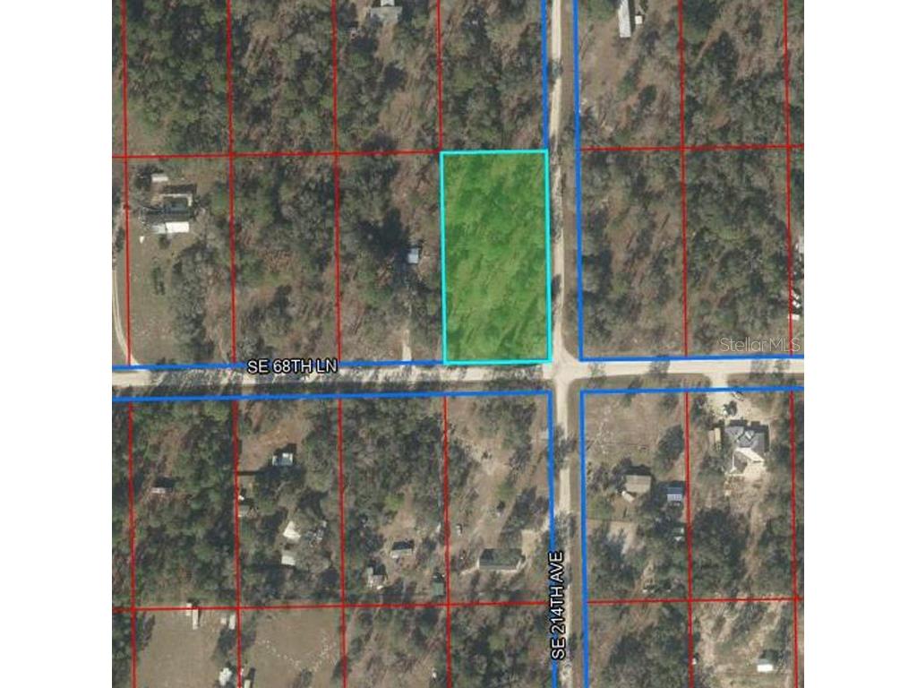6890 SE 214th Avenue Morriston FL 32668 OM657095 image1