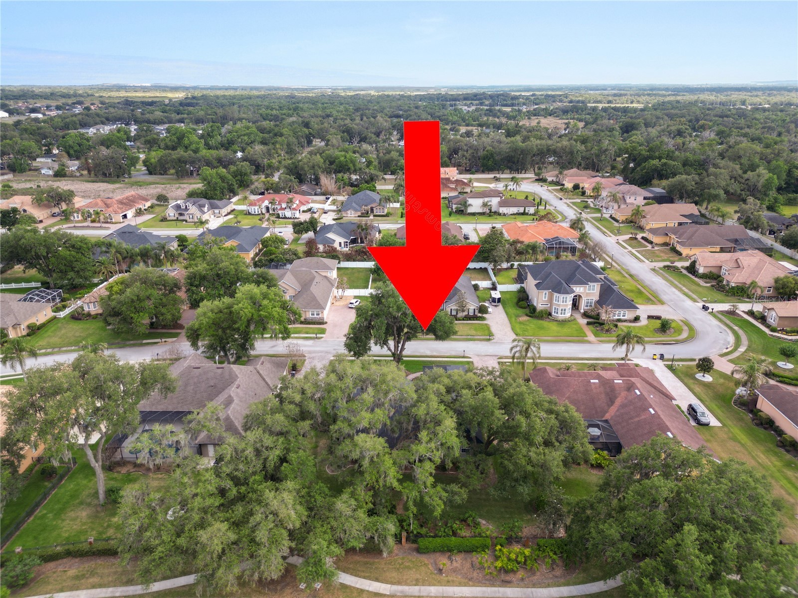 6891 Lacy Drive Lakeland FL 33813 L4961802 image59