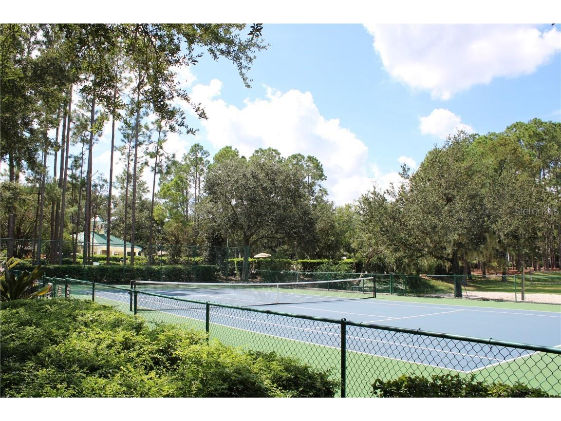 6891 Northwich Drive Windermere FL 34786 S5135631 image42