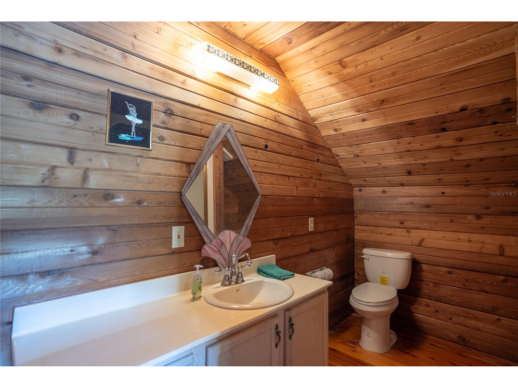 6892 Swain Road Sorrento FL 32776 G5107693 image33