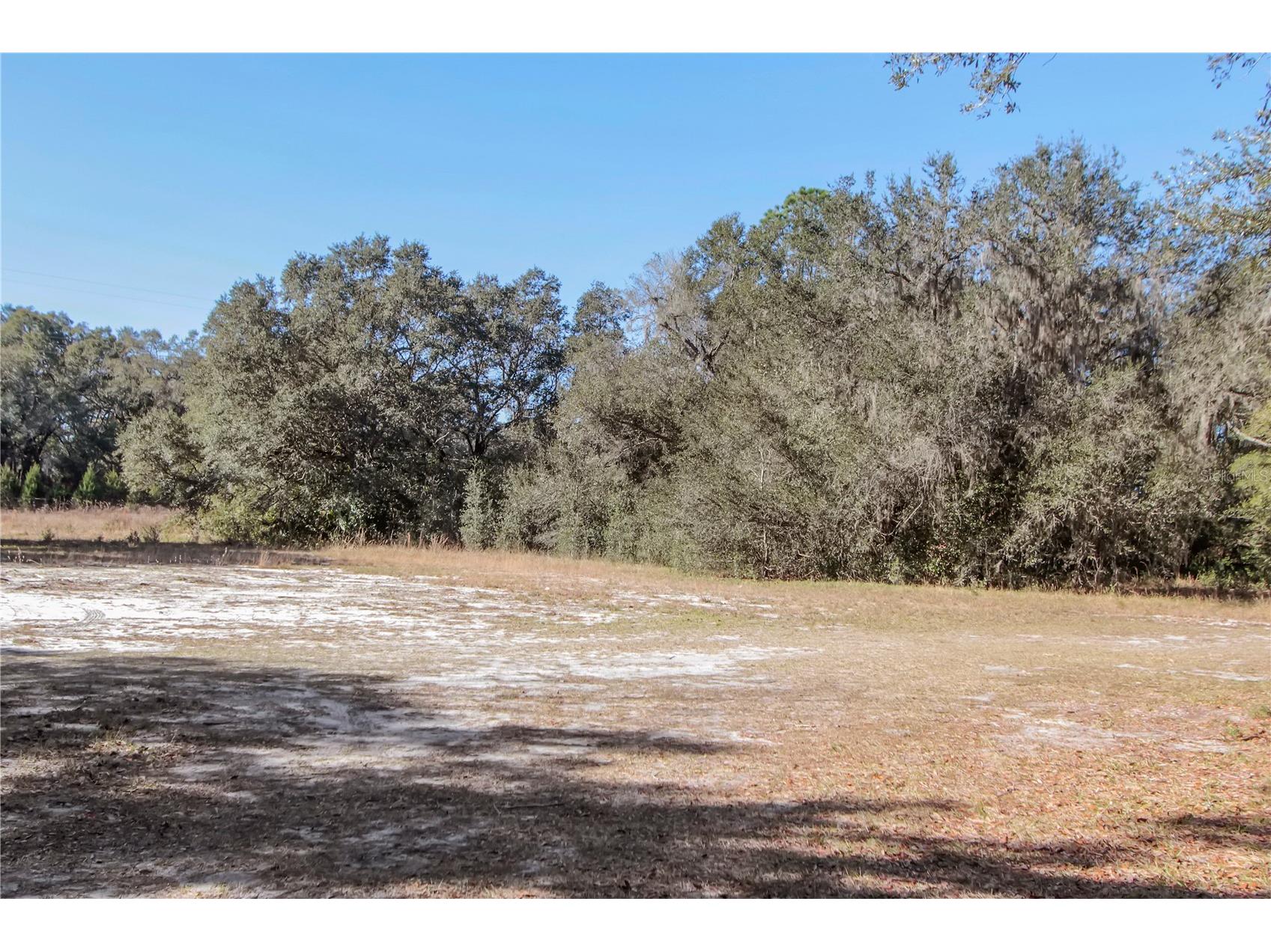 6892 Swain Road Sorrento FL 32776 G5107693 image36