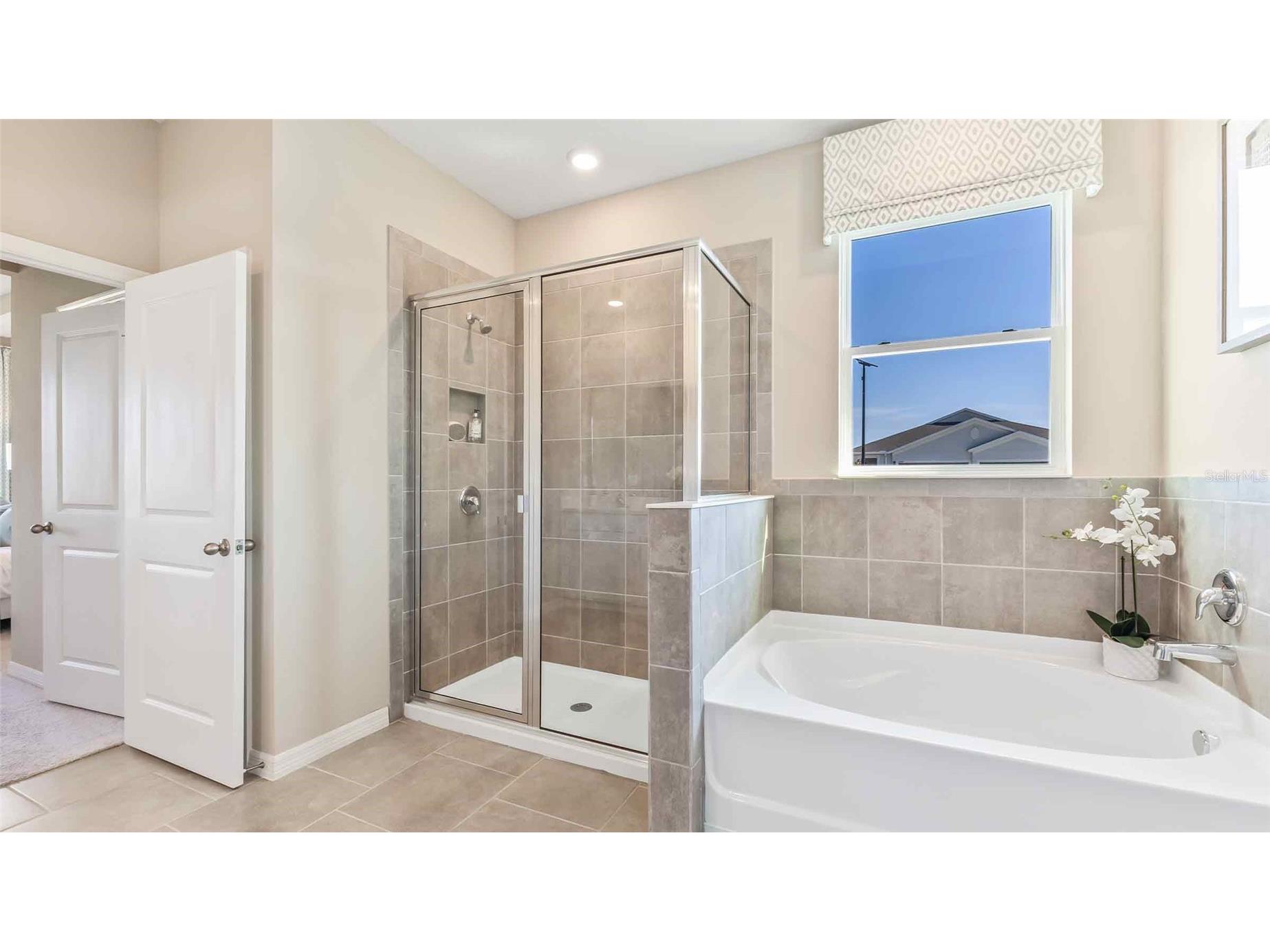 6895 Flint Creek Drive Land O Lakes FL 34638 TB8482404 image7