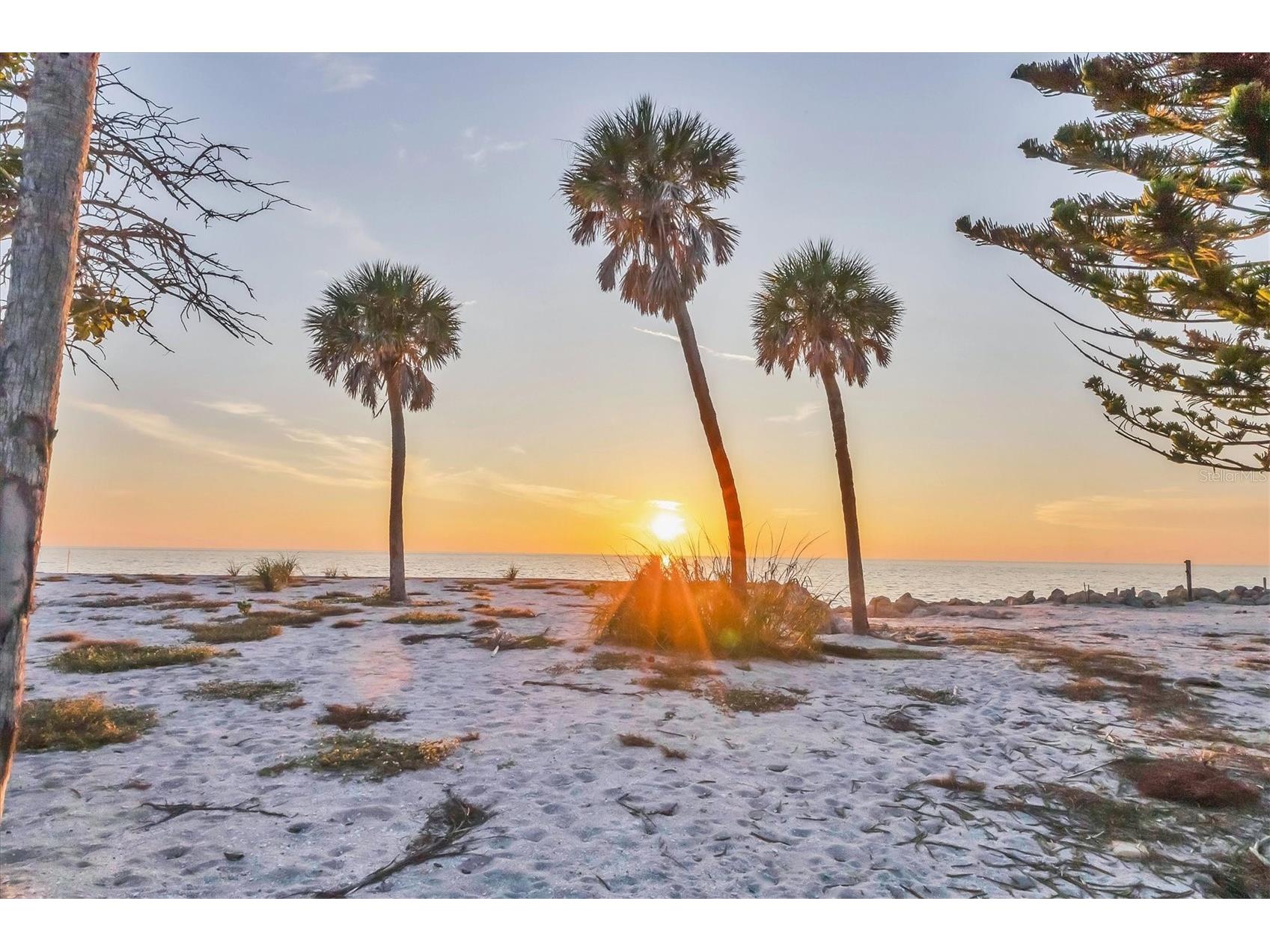 6895 Manasota Key Road Englewood FL 34223 - LEMON BAY GULF OF MEXICO ICW D6145044 image43