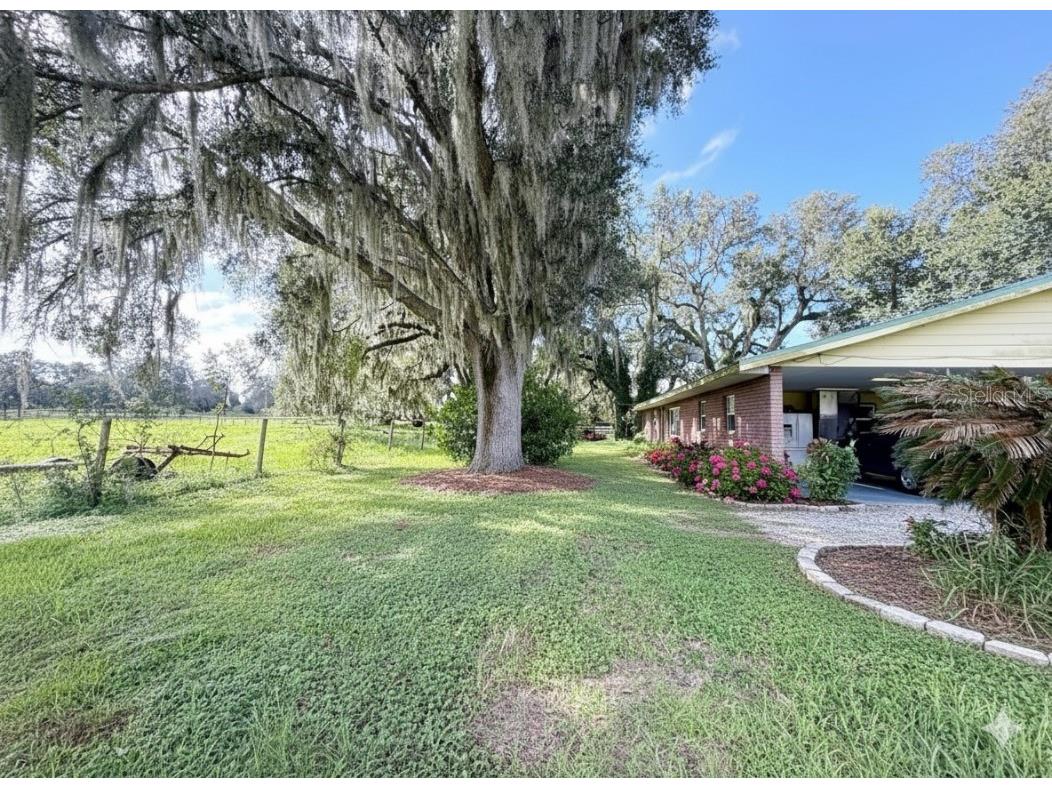 6896 Cr 619 Bushnell FL 33513 O6340945 image2