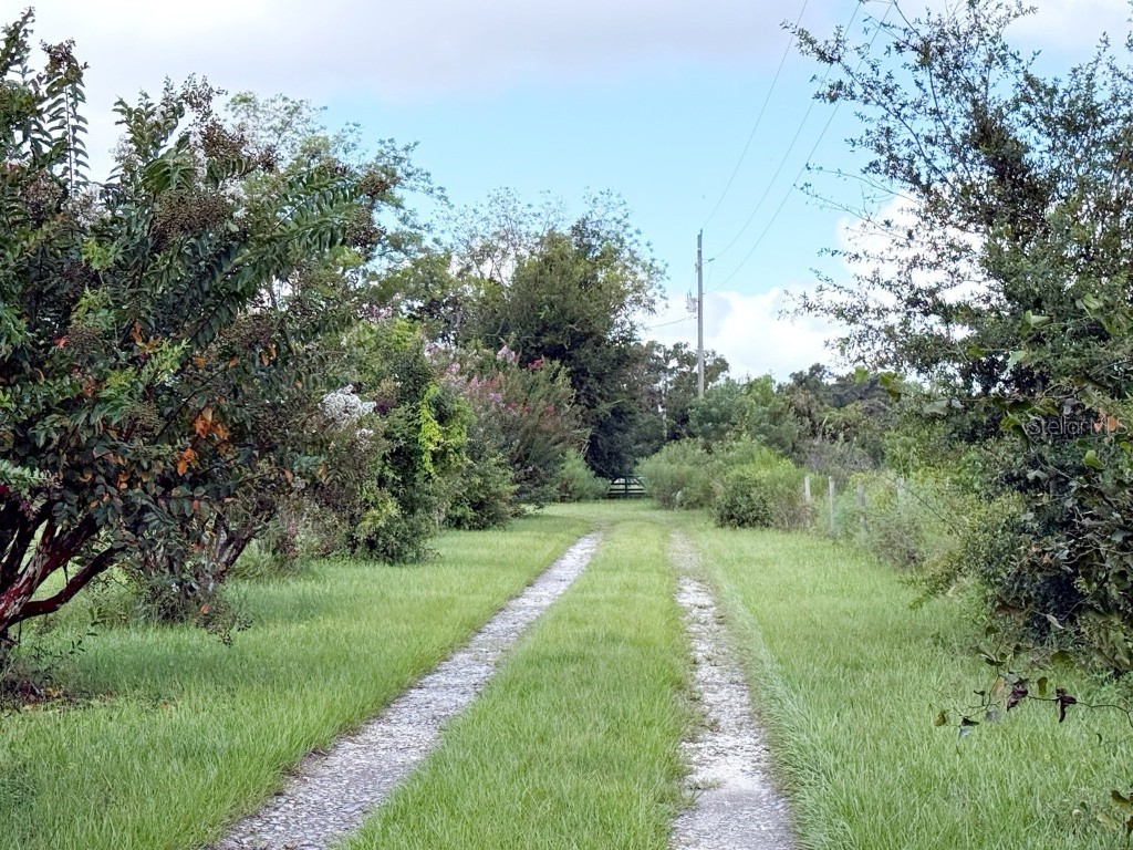 6896 Cr 619 Bushnell FL 33513 O6340945 image3