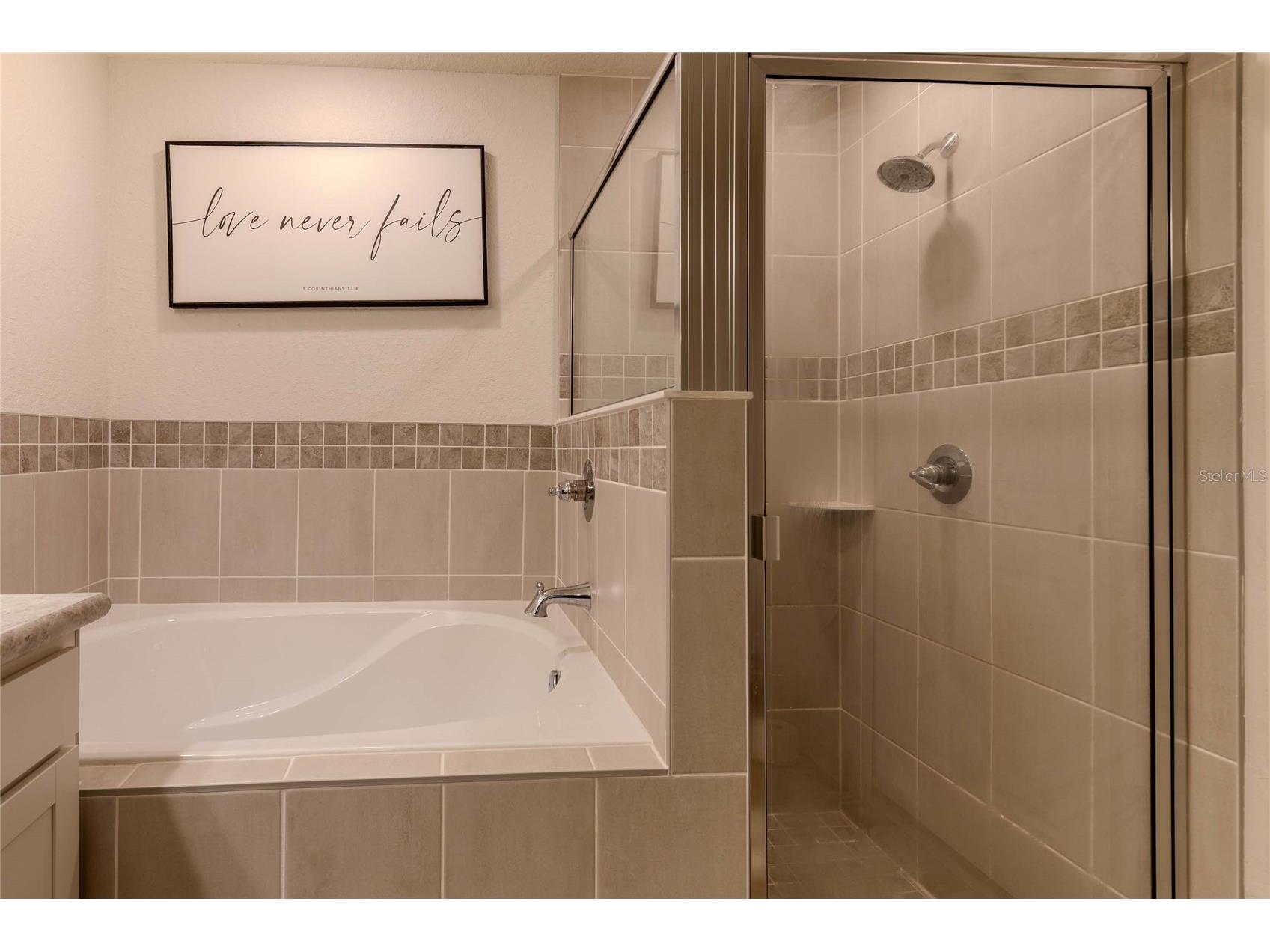 6896 Pebblebrooke Way Zephyrhills FL 33541 TB8489857 image16