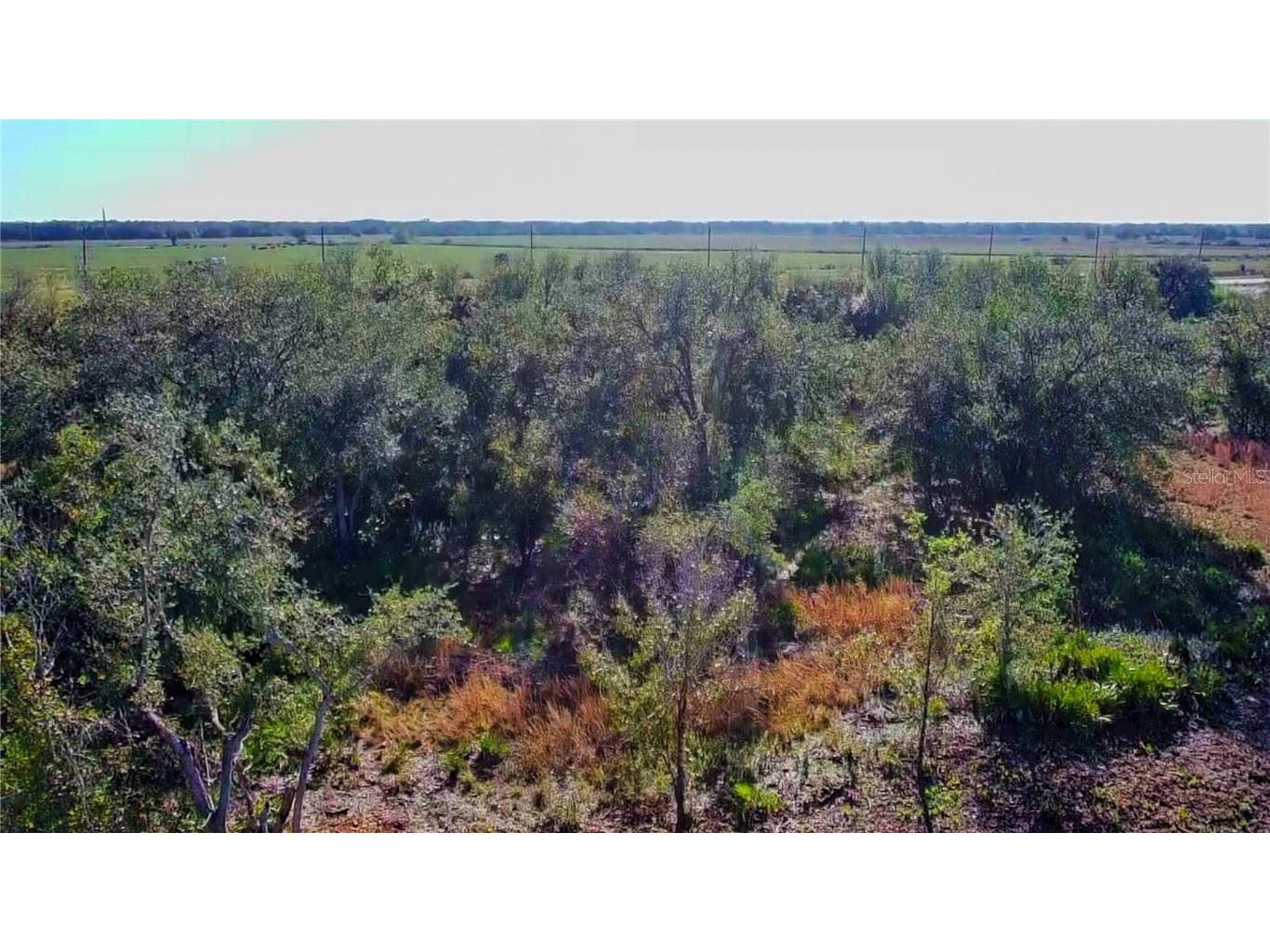 69 Duncan Road Punta Gorda FL 33982 A4638221 image5