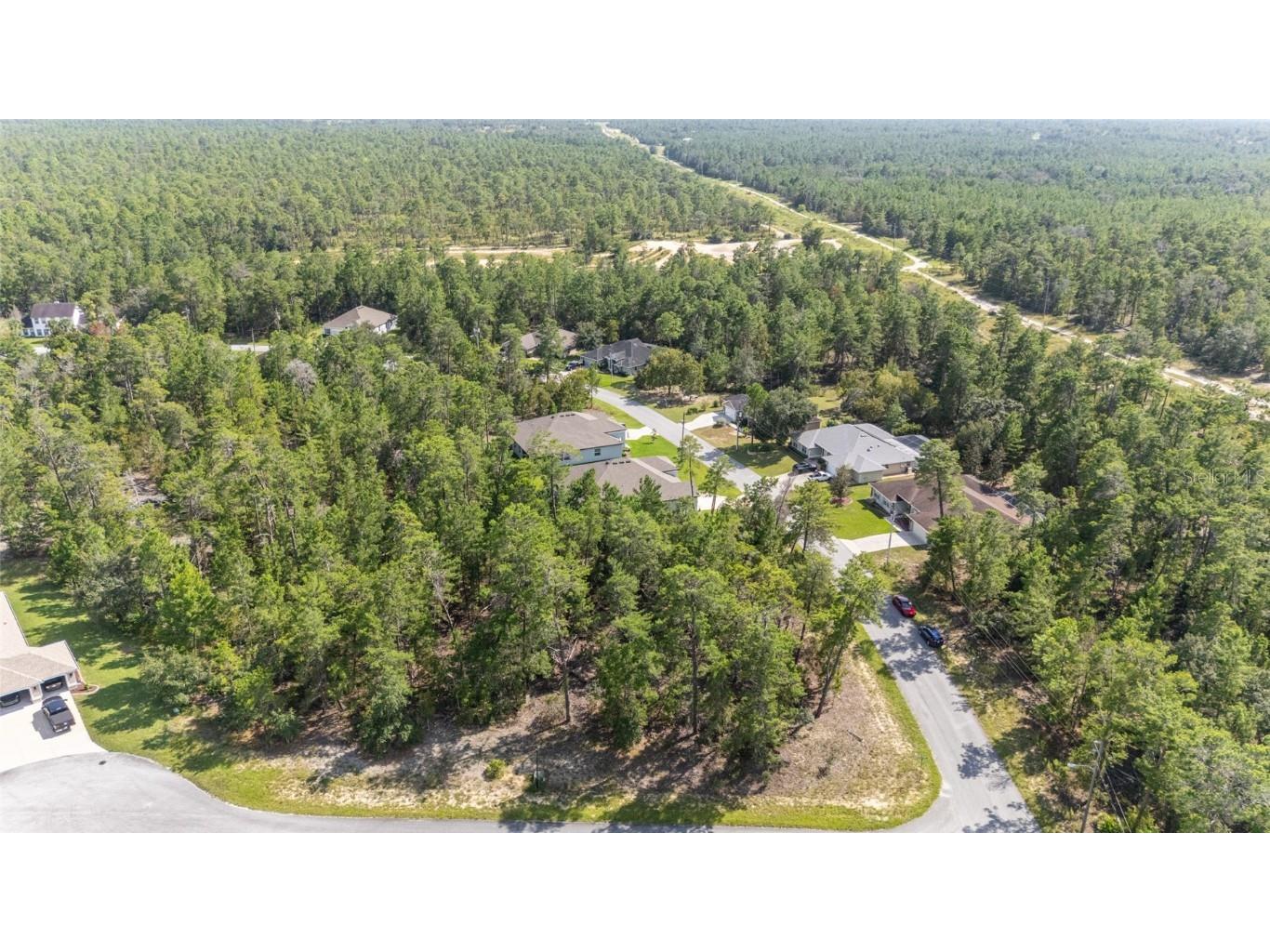 69 Grass Street Homosassa FL 34446 OM709422 image69