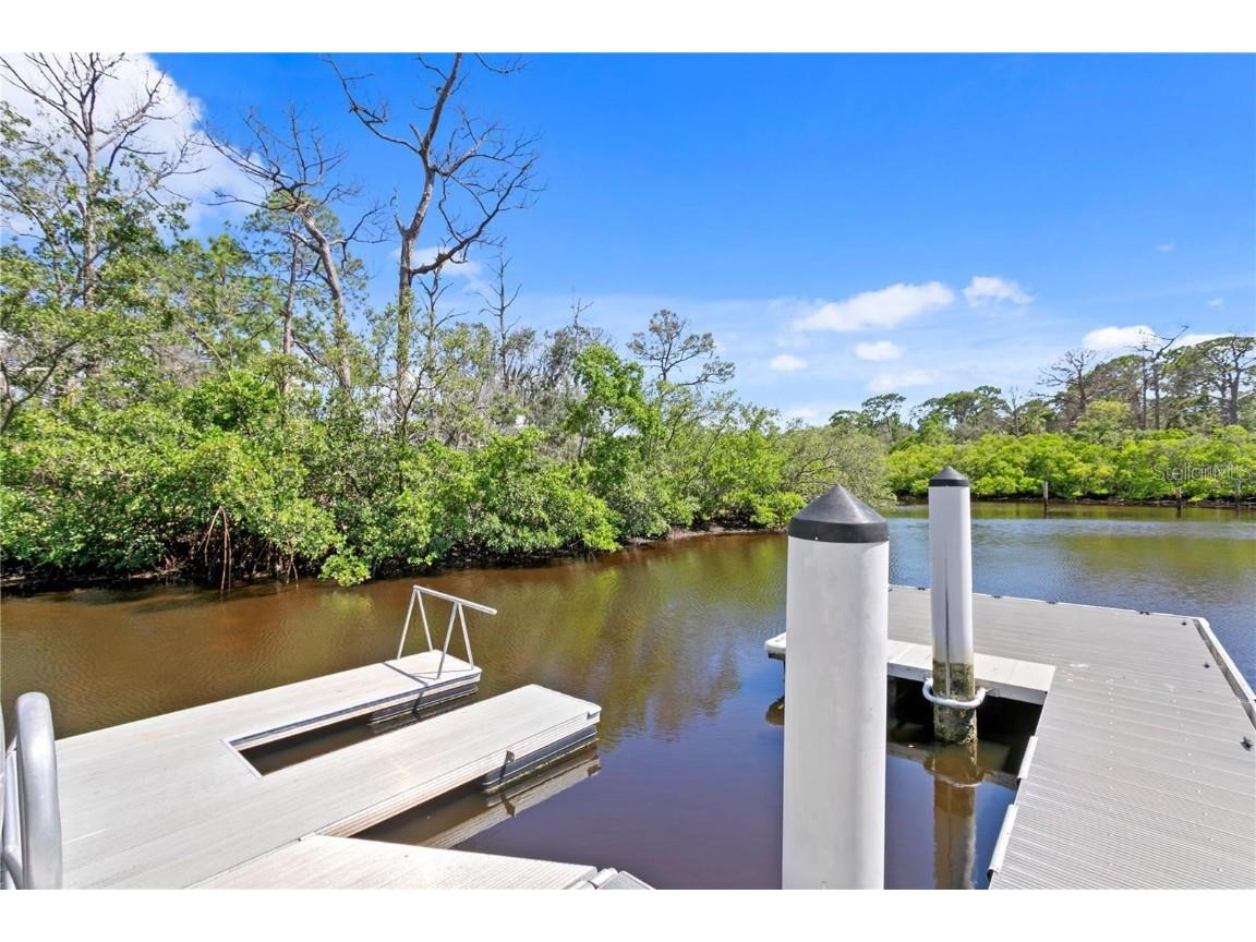 69 Gulfwinds Drive Palm Harbor FL 34683 TB8456041 image64