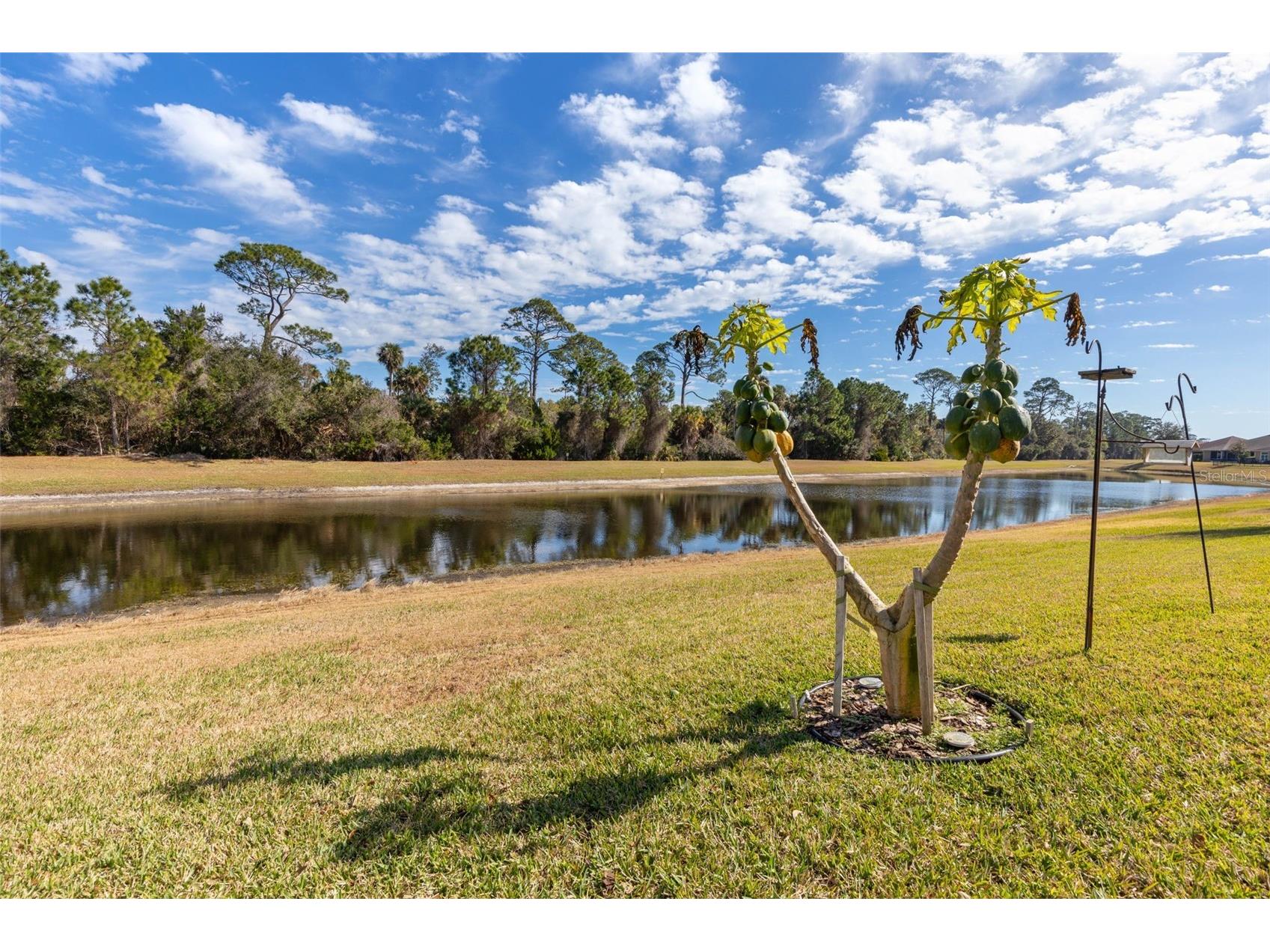 69 Heron Drive Palm Coast FL 32137 FC315679 image53