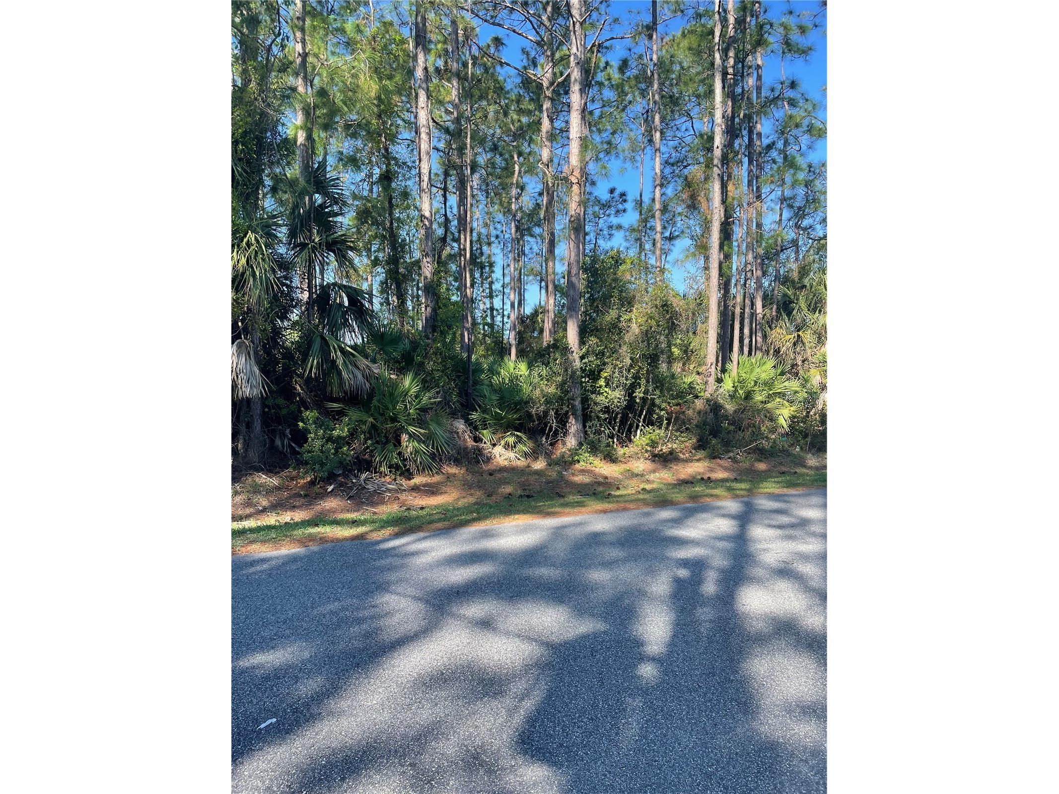 69 Lindsay Drive Palm Coast FL 32137 FC317116 image1