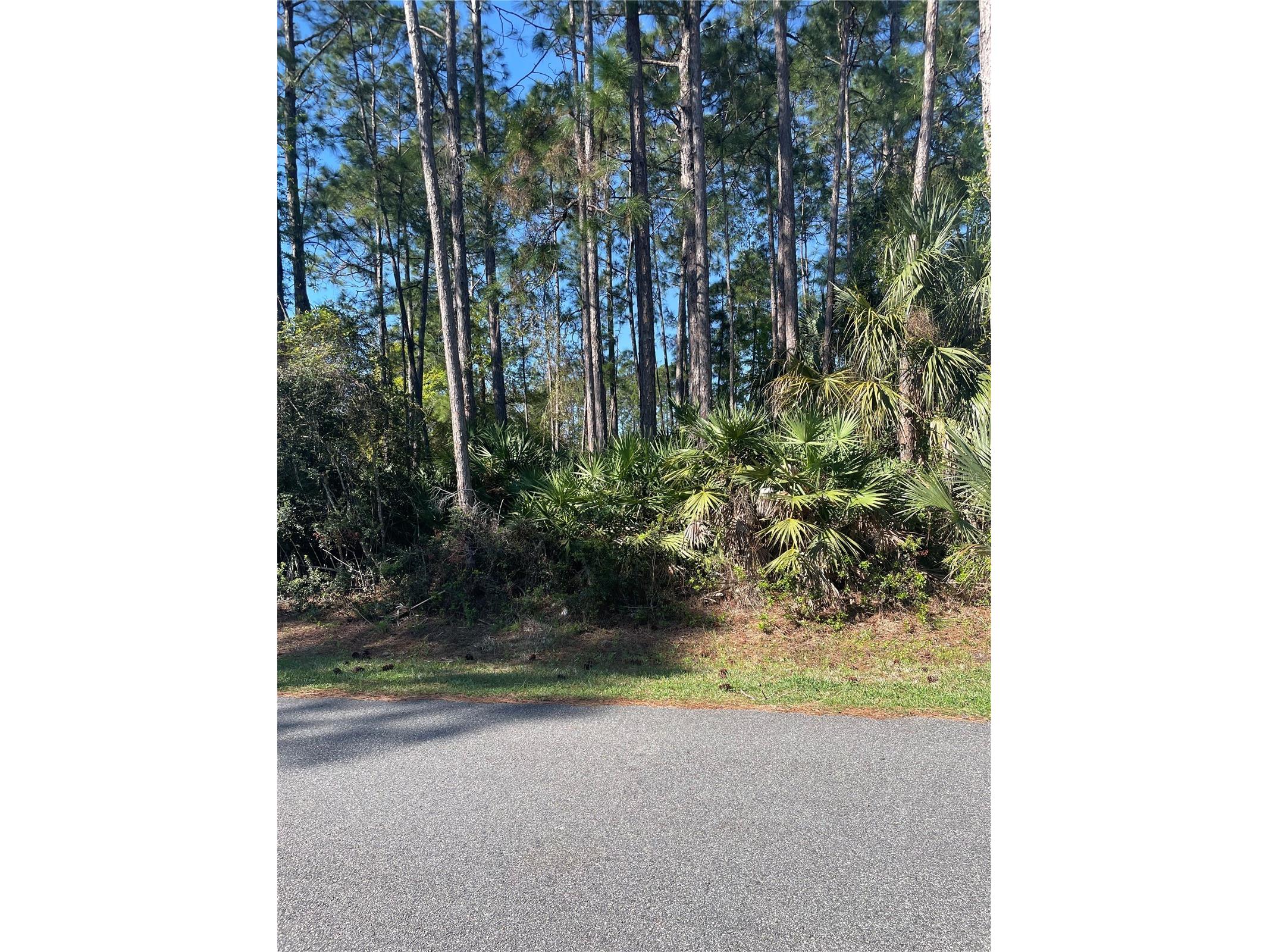 69 Lindsay Drive Palm Coast FL 32137 FC317116 image2