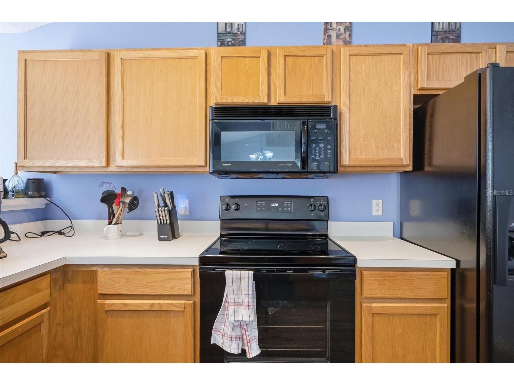 69 London Drive Palm Coast FL 32137 FC316637 image38