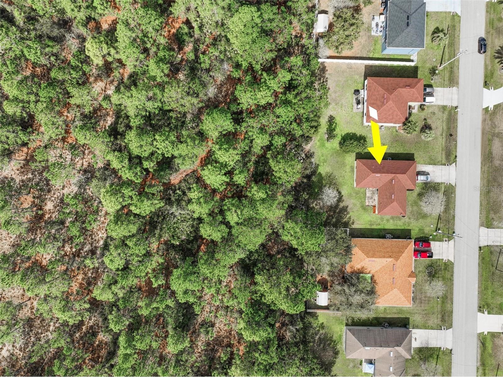 69 London Drive Palm Coast FL 32137 FC316637 image61