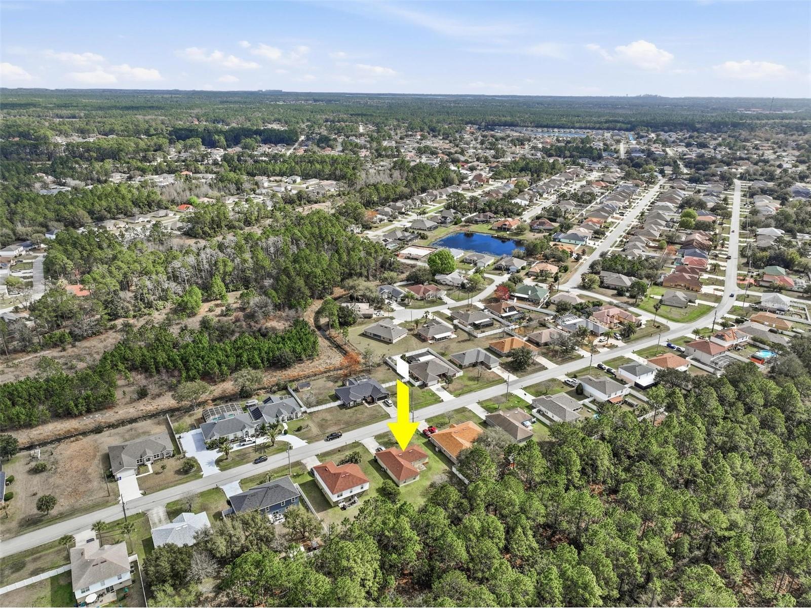 69 London Drive Palm Coast FL 32137 FC316637 image65