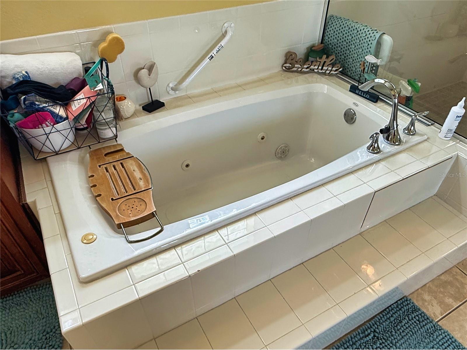 69 President Lane Palm Coast FL 32164 FC312743 image55