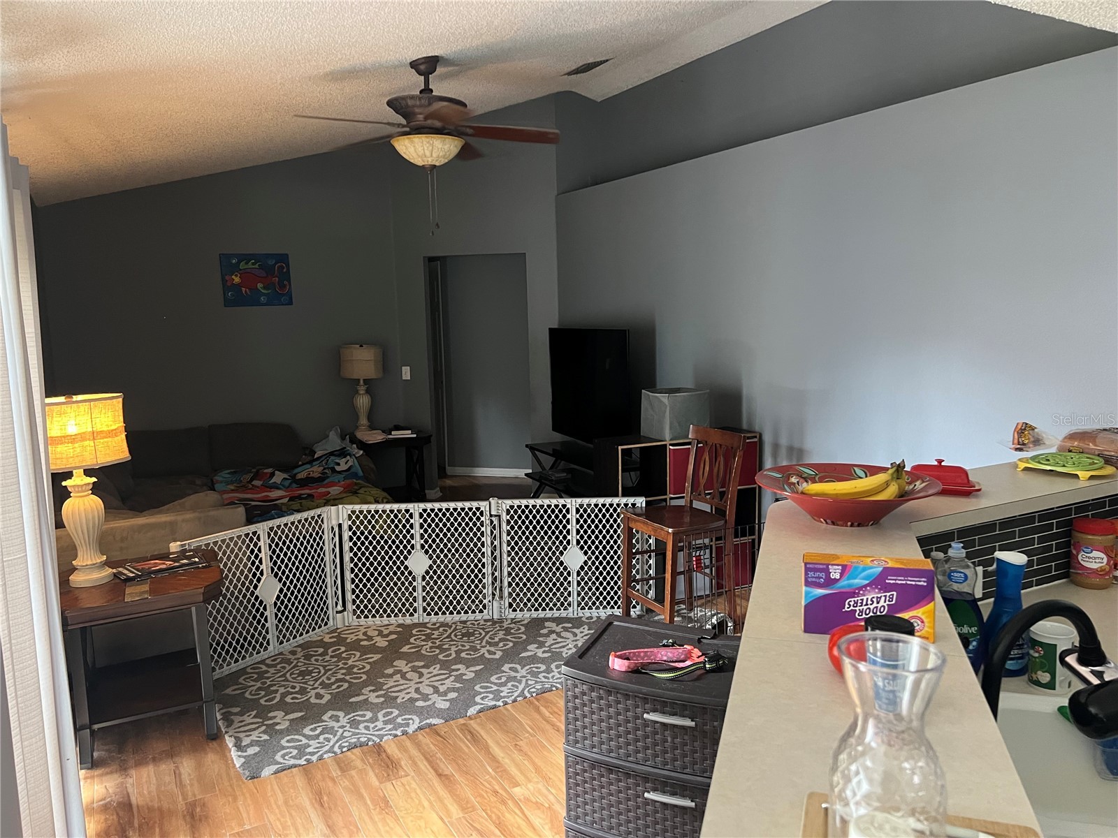 69 Raemoor Drive Palm Coast FL 32164 FC318886 image2