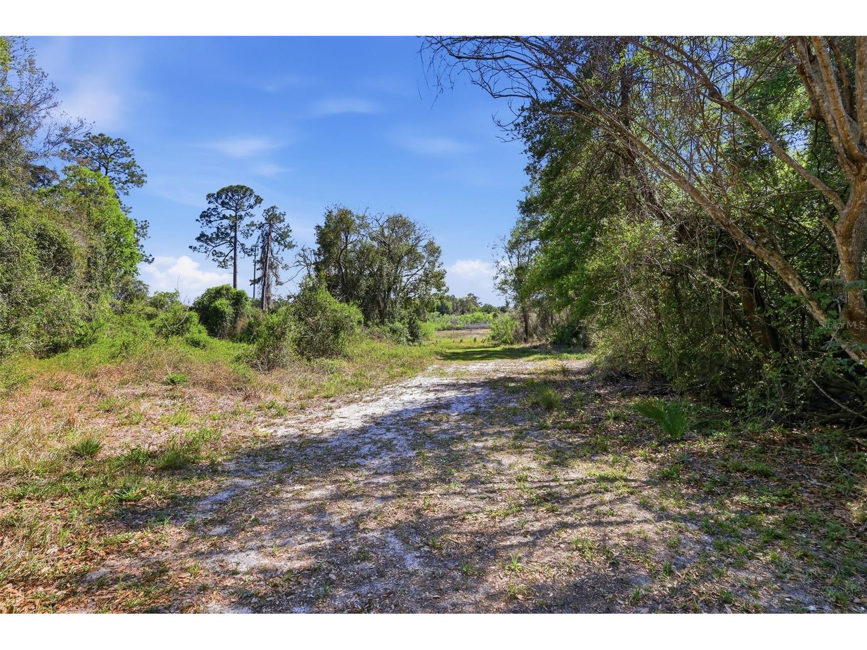 69 Spring Lake Drive Debary FL 32713 V4948100 image52