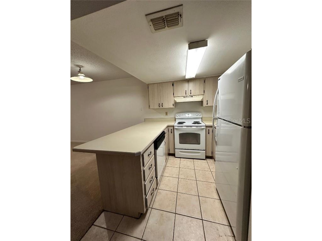 69 Village Drive Flagler Beach FL 32136 FC313146 image3