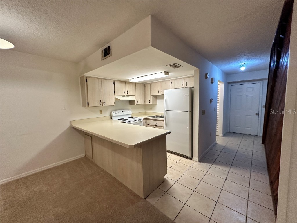 69 Village Drive Flagler Beach FL 32136 FC313146 image4