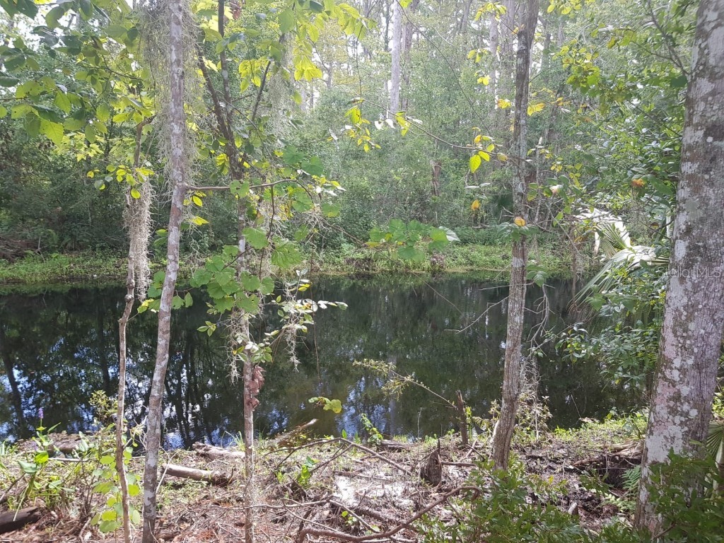 69 Zephyr Lily Trail Palm Coast FL 32164 FC312174 image11