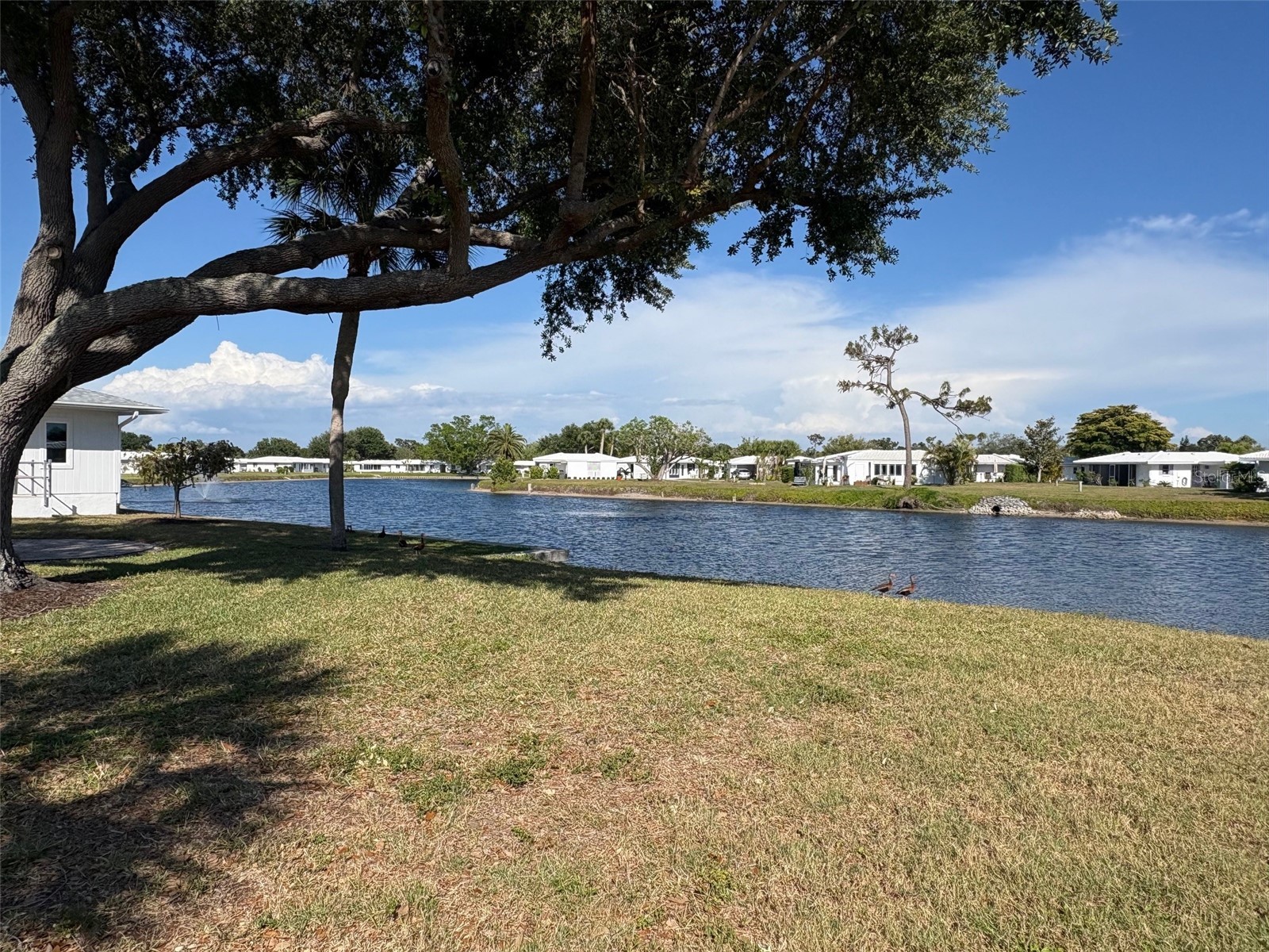 690 Circlewood Drive #W8 Venice FL 34293 N6144022 image52