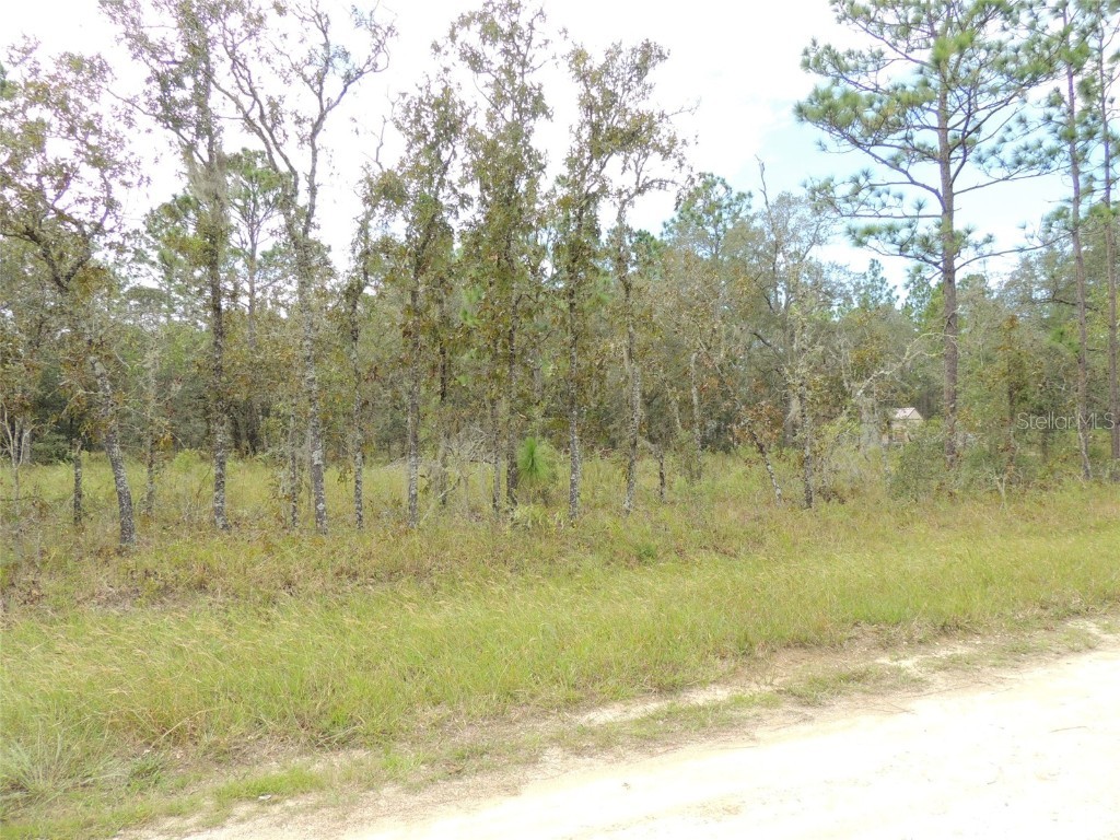 690 NE 135th Court Williston FL 32696 OM686851 image1