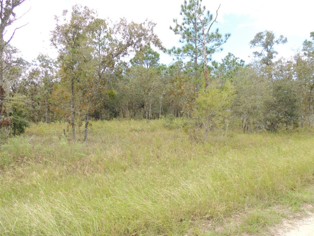 690 NE 135th Court Williston FL 32696 OM686851 image3